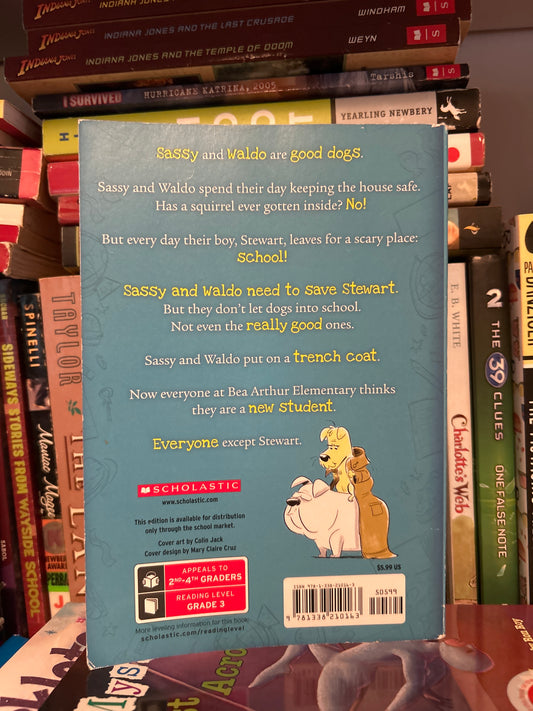 Two Dogs in a Trench Coat Go to School: Book 1
