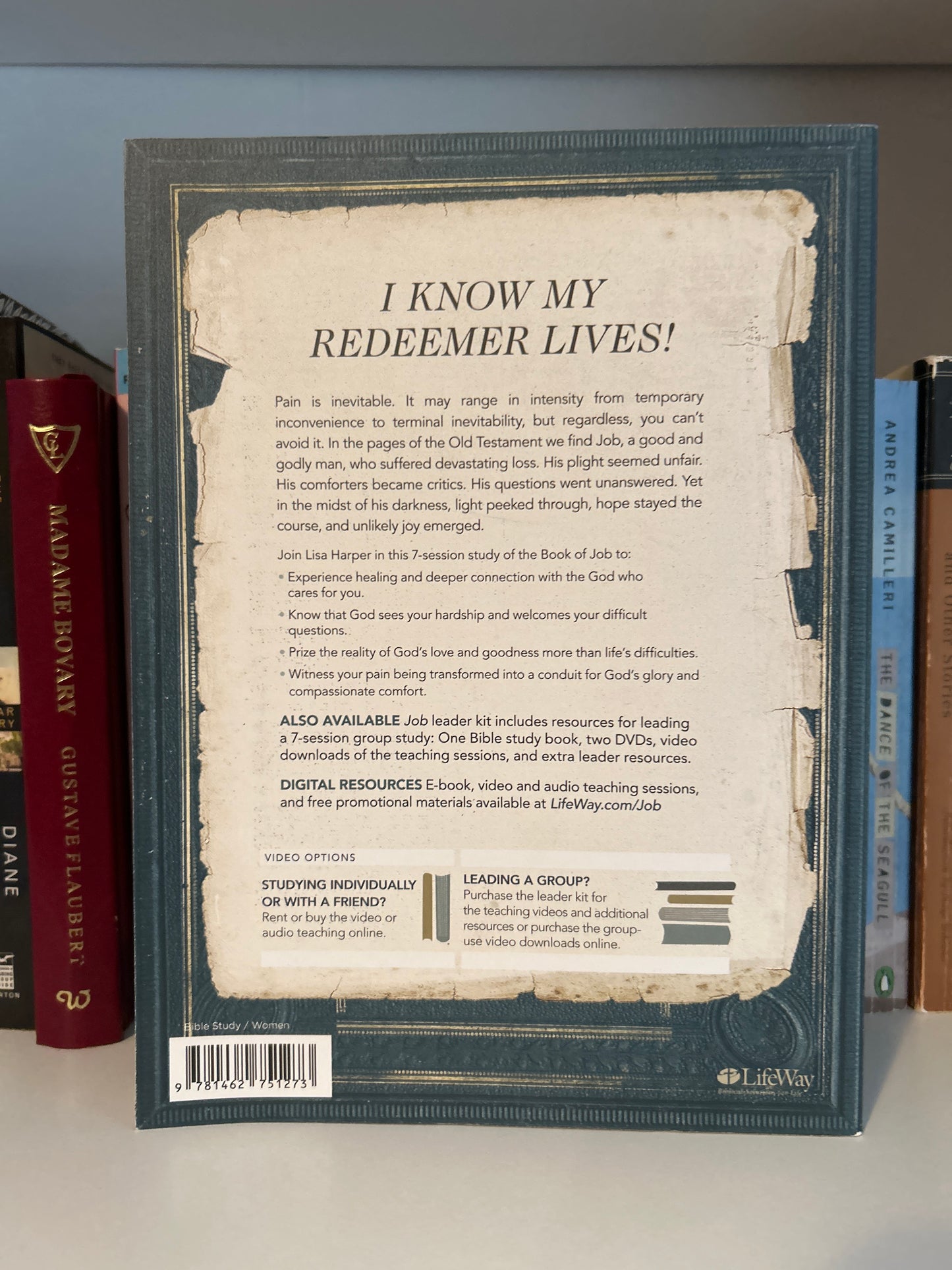 Job - Bible Study Book: A Story of Unlikely Joy - Bible Study Book