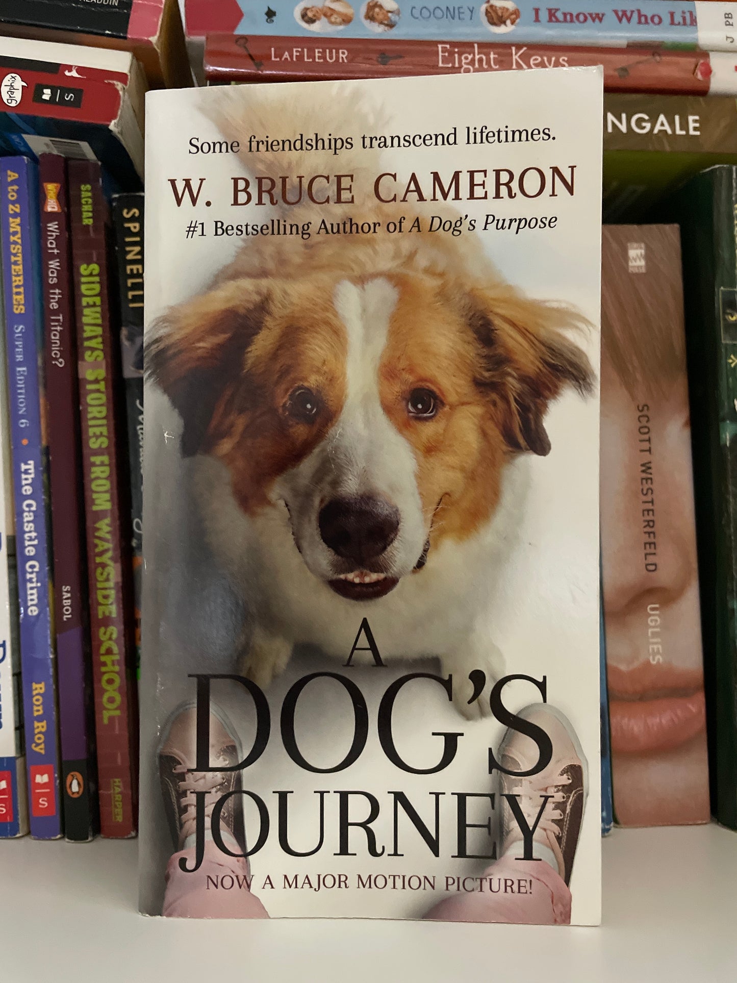 A Dog's Journey - Book 2