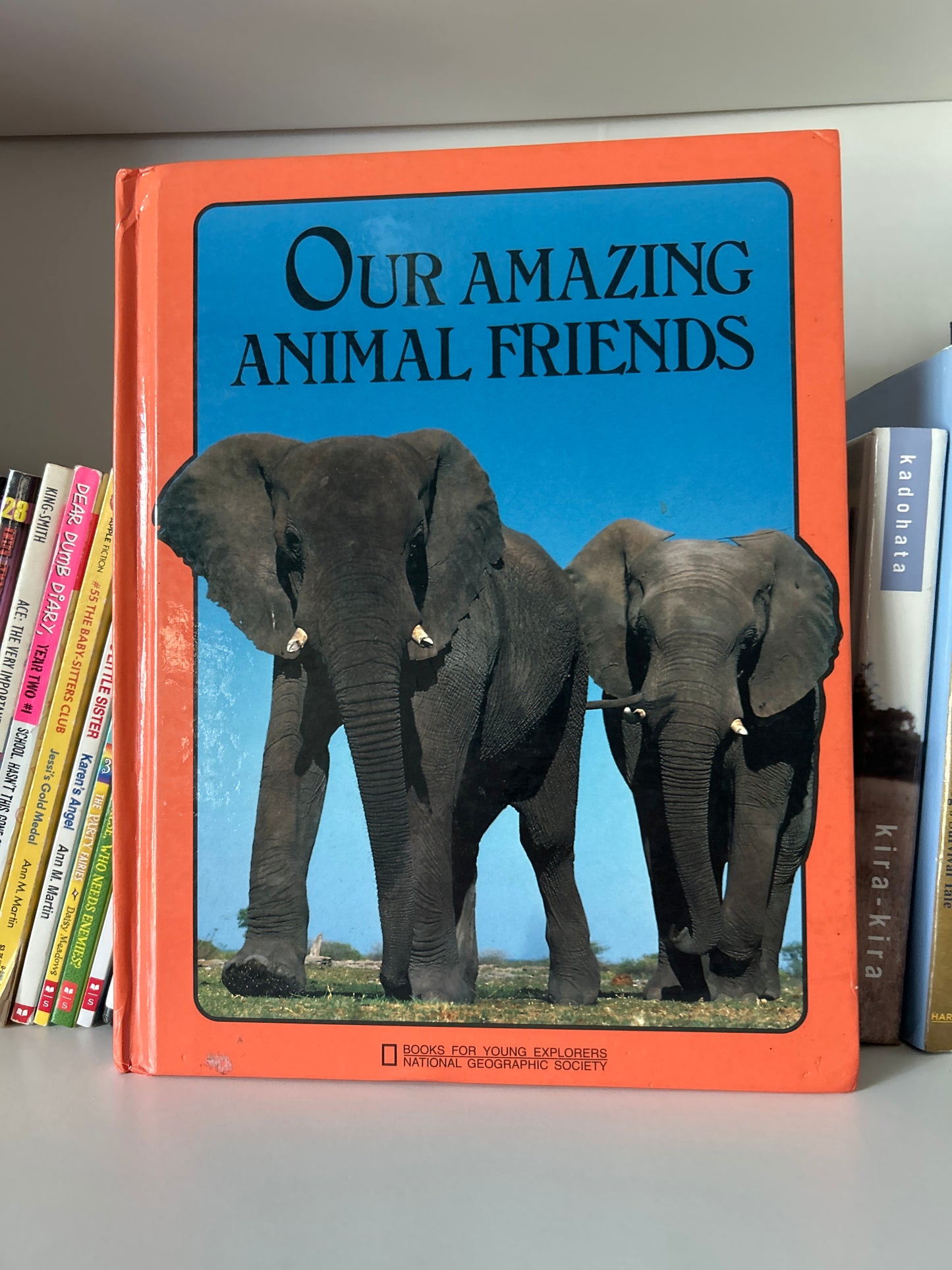Our Amazing Animal Friends (Books for Young Explorers)