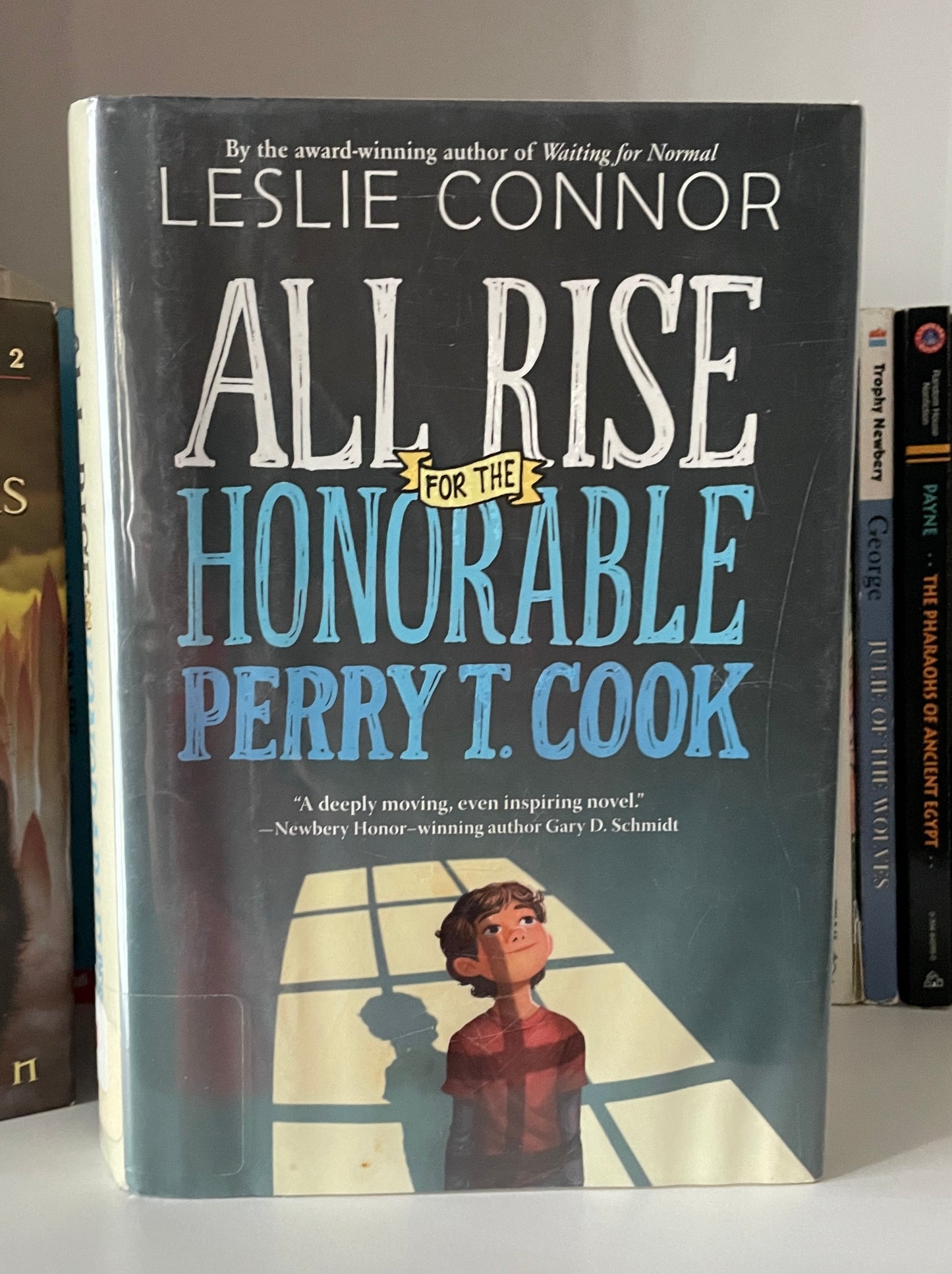 All Rise for the Honorable Perry T. Cook