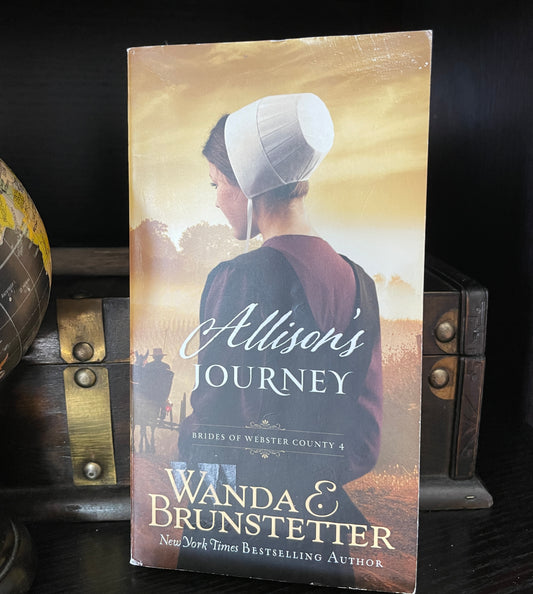 Allison's Journey (Volume 4) (Brides of Webster County) - The Aged Page