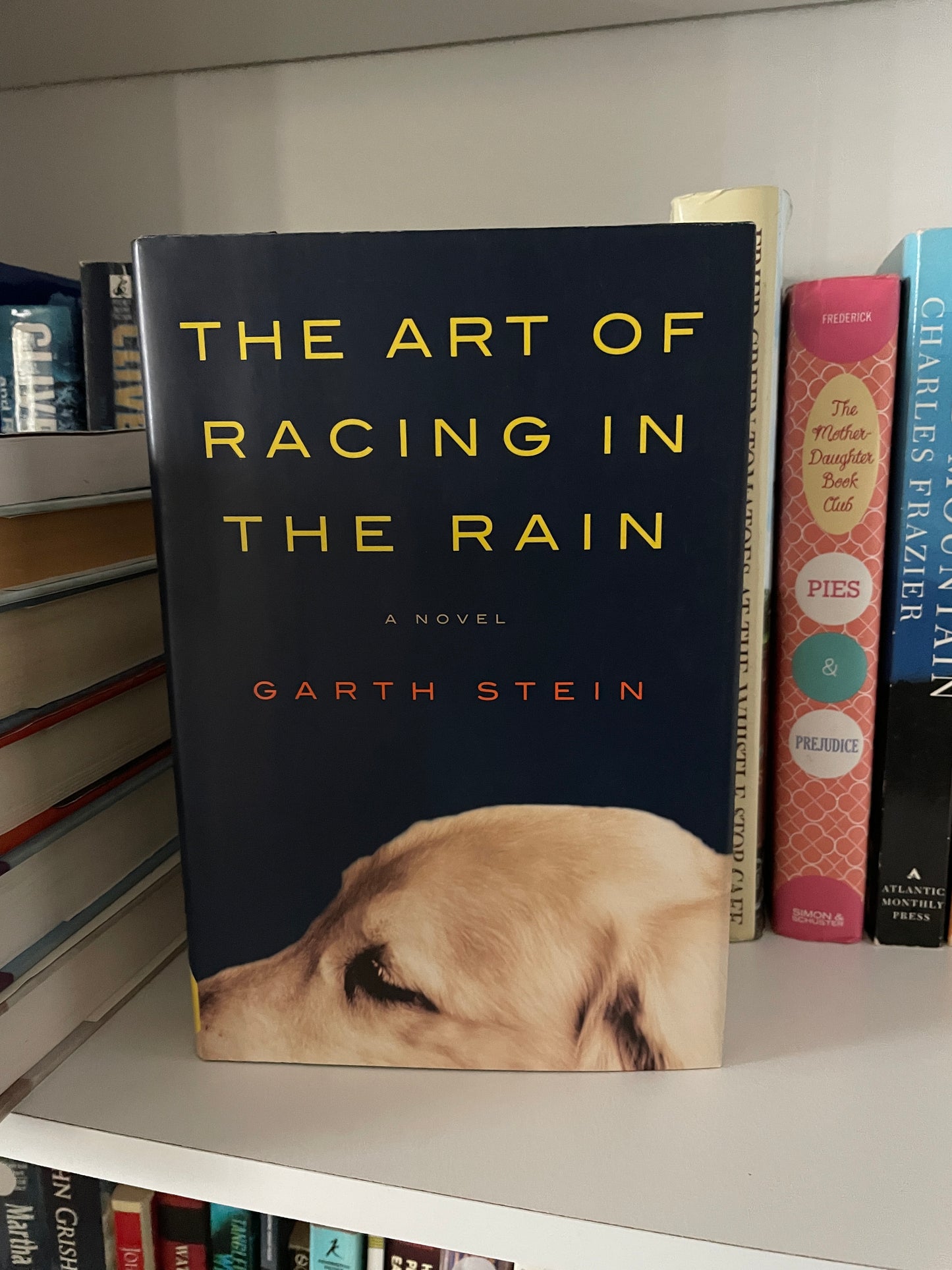 The Art of Racing in the Rain