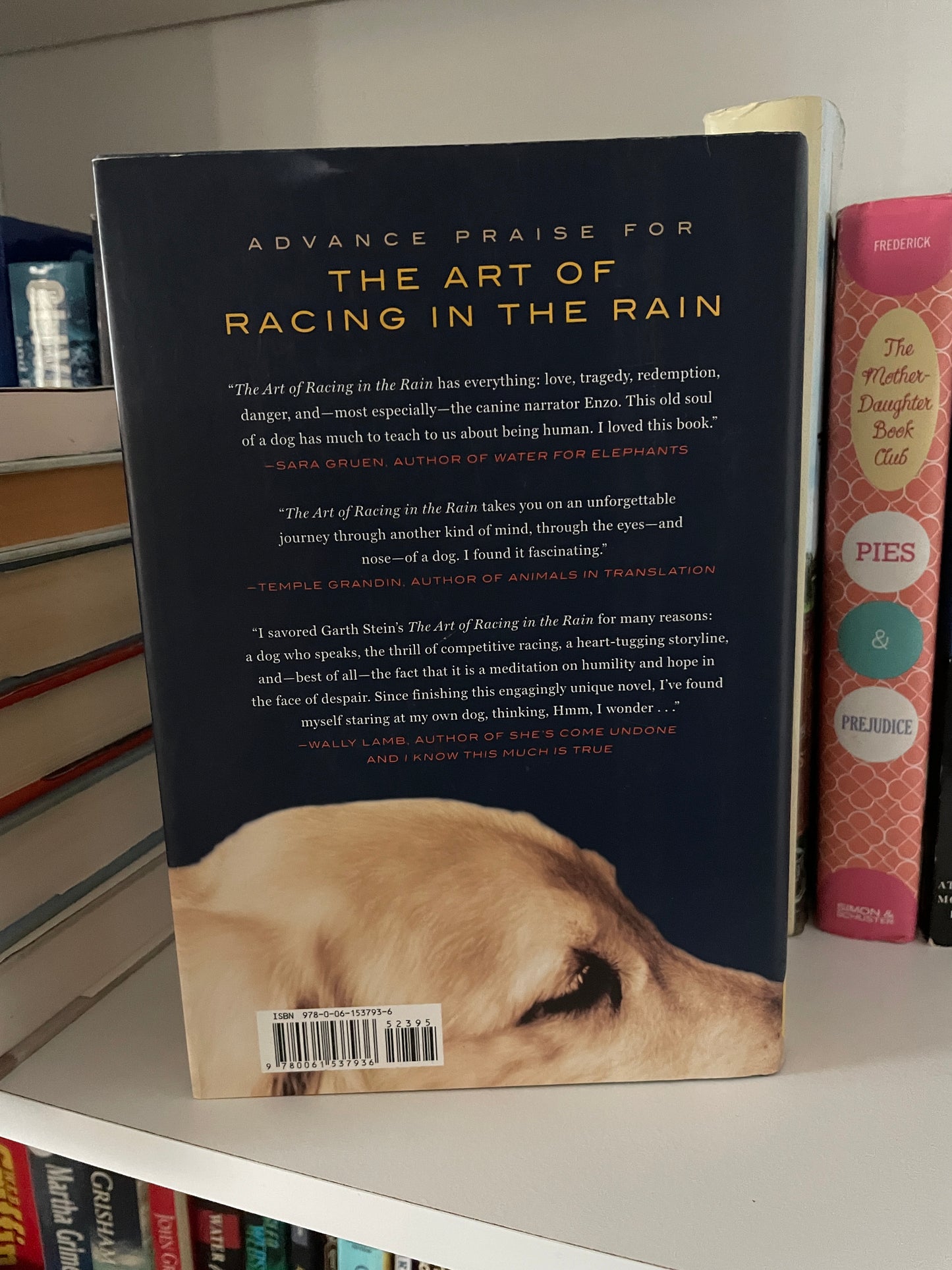 The Art of Racing in the Rain