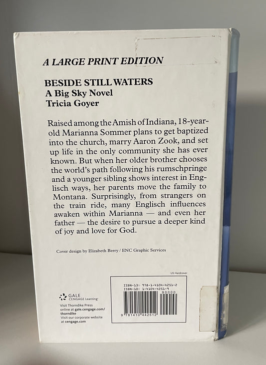 Beside Still Waters (A Big Sky Novel, 1)