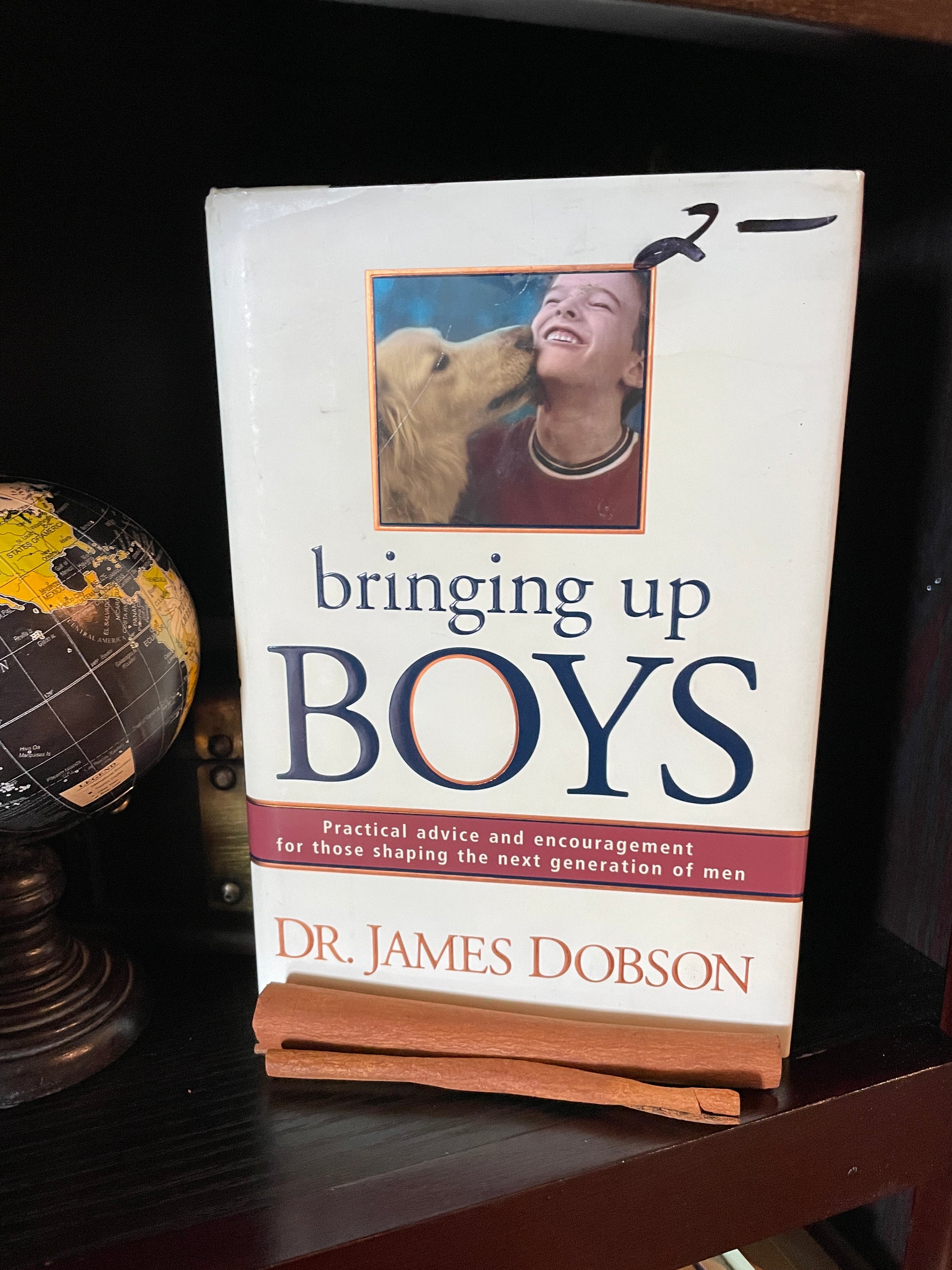 Bringing Up Boys: Practical Advice and Encouragement for Those Shaping the Next Generation of Men - The Aged Page