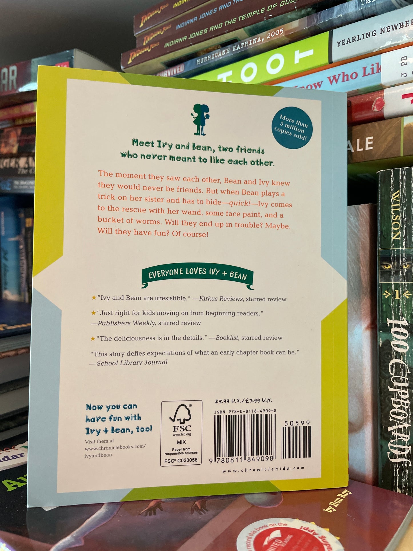 Ivy & Bean (Book 1)