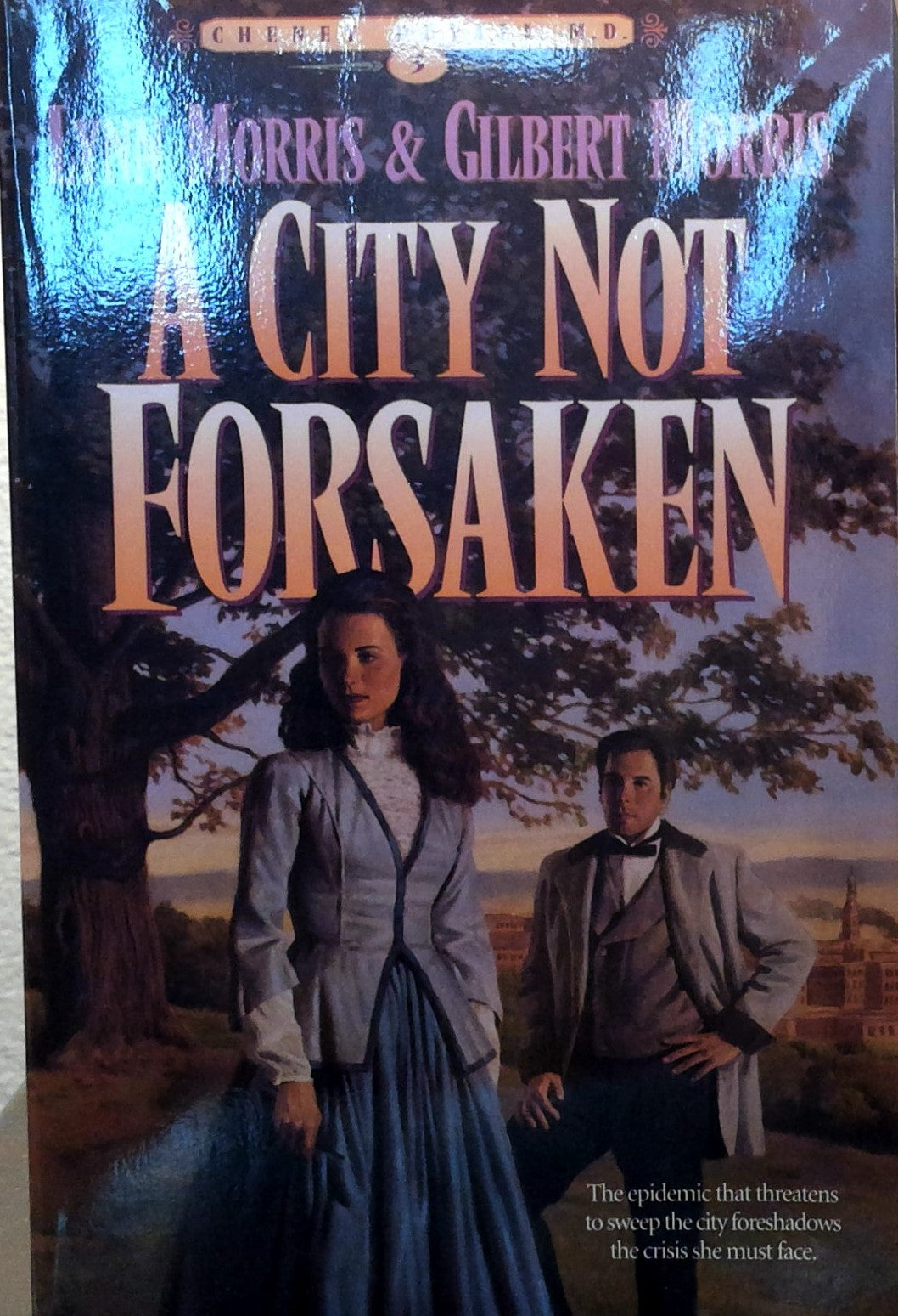 A City Not Forsaken book cover