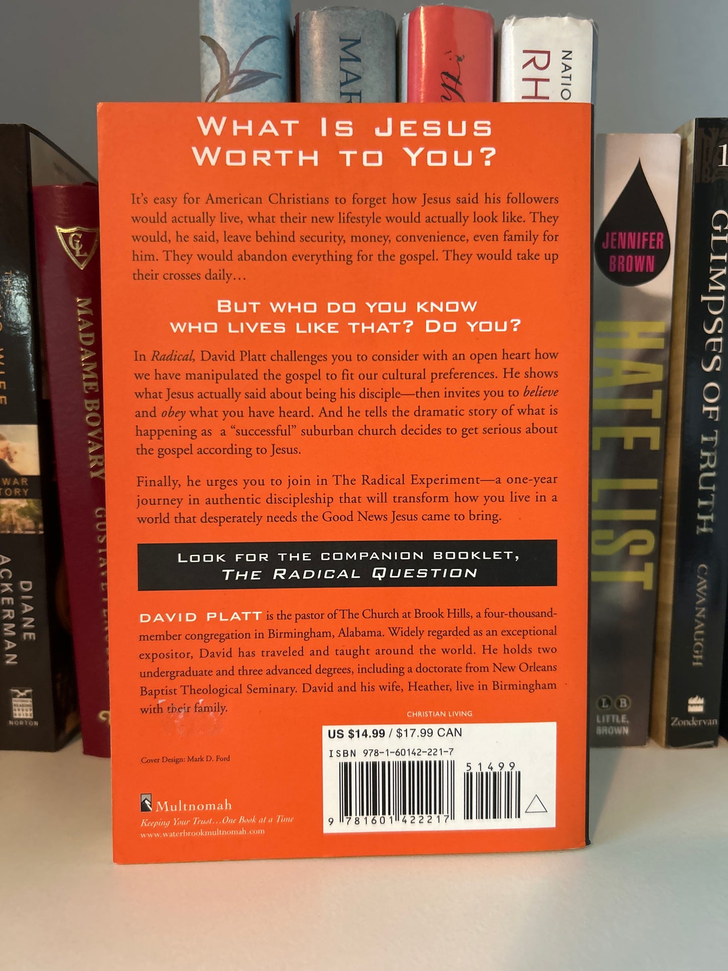 Radical: Taking Back Your Faith from the American Dream (Copy 2)