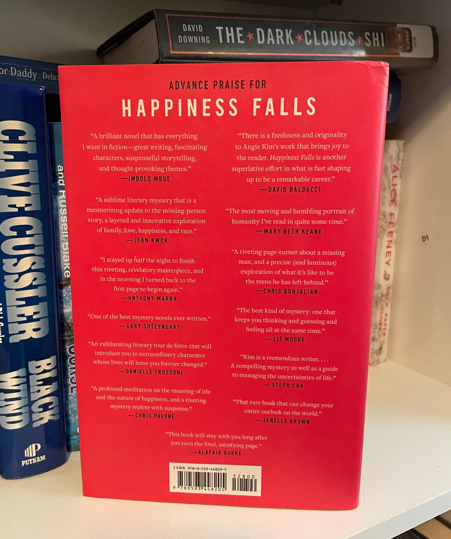 Happiness Falls: A Novel