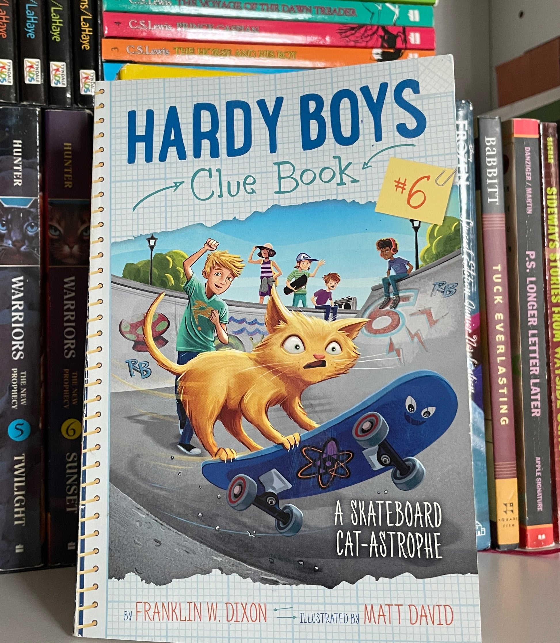 Hardy Boys  A Skateboard Cat-Astrophe book cover