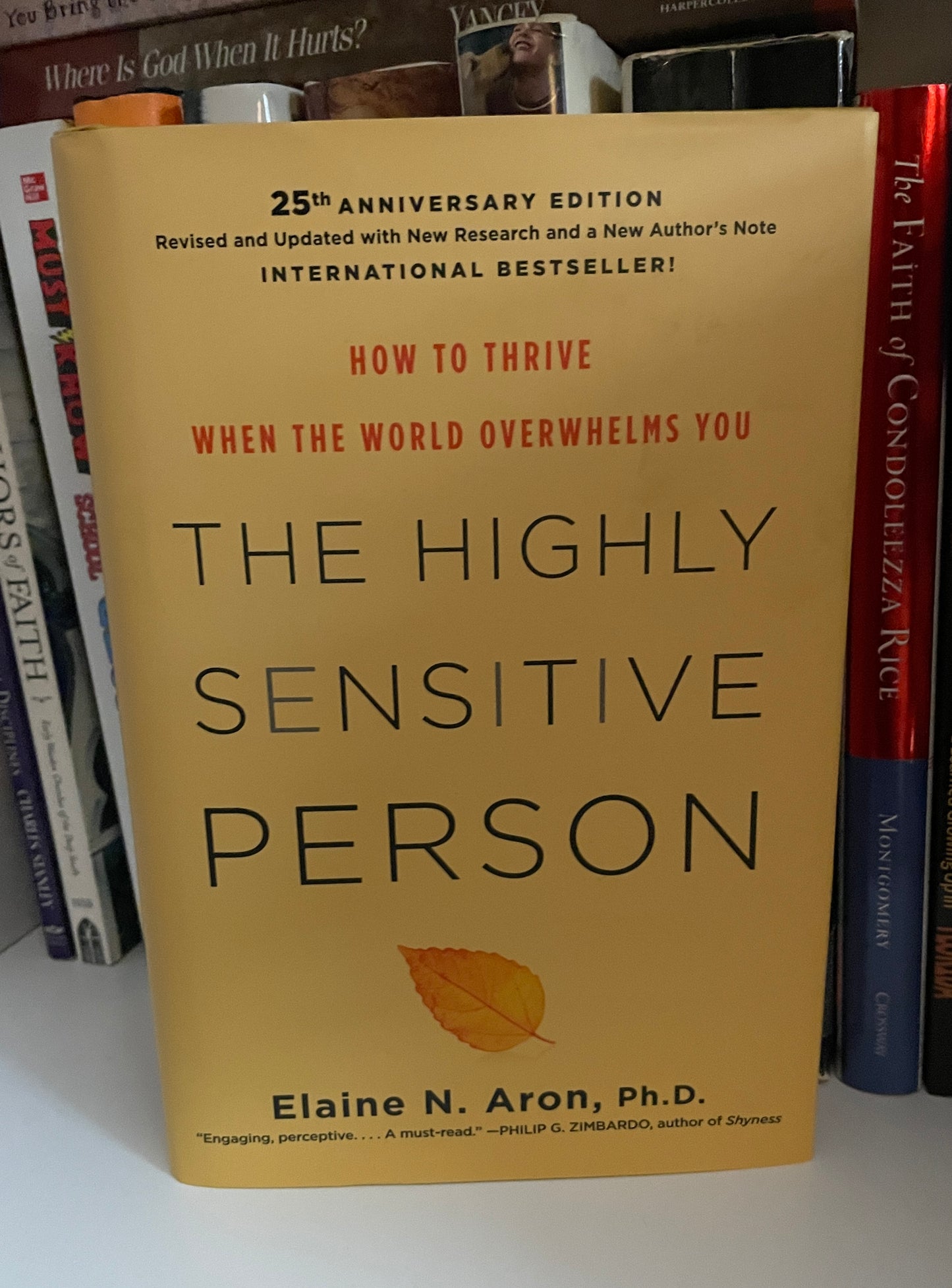 The Highly Sensitive Person: How to Thrive When the World Overwhelms You