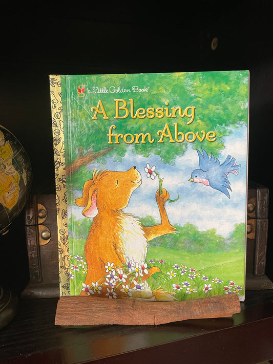 A Blessing from Above: An Adoption Story (Little Golden Book) - The Aged Page