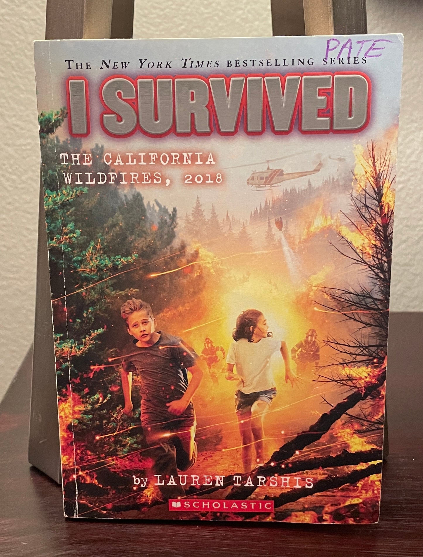 I Survived the California Wildfires 2018 - #20