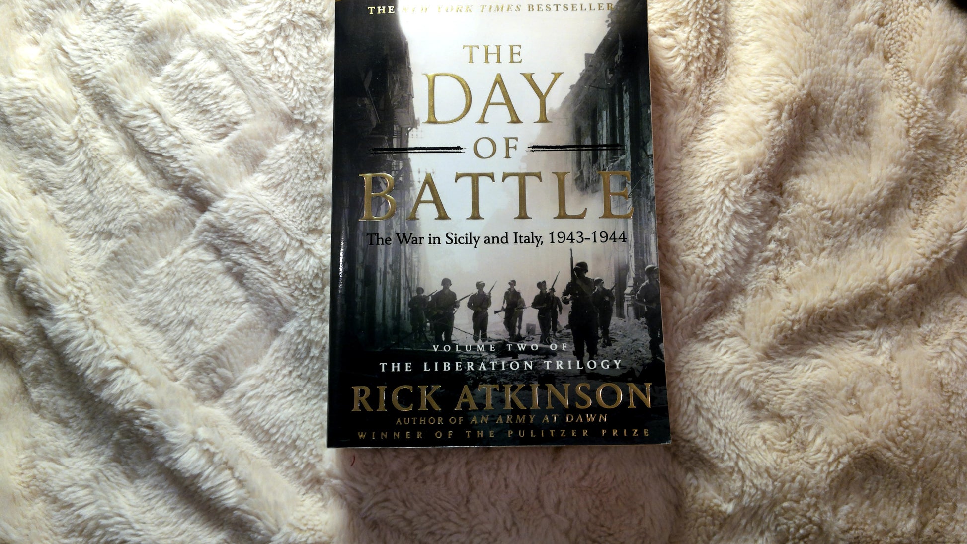 The Day of Battle: The War in Sicily and Italy, 1943-1944 (The Liberation Trilogy, 2) - The Aged Page