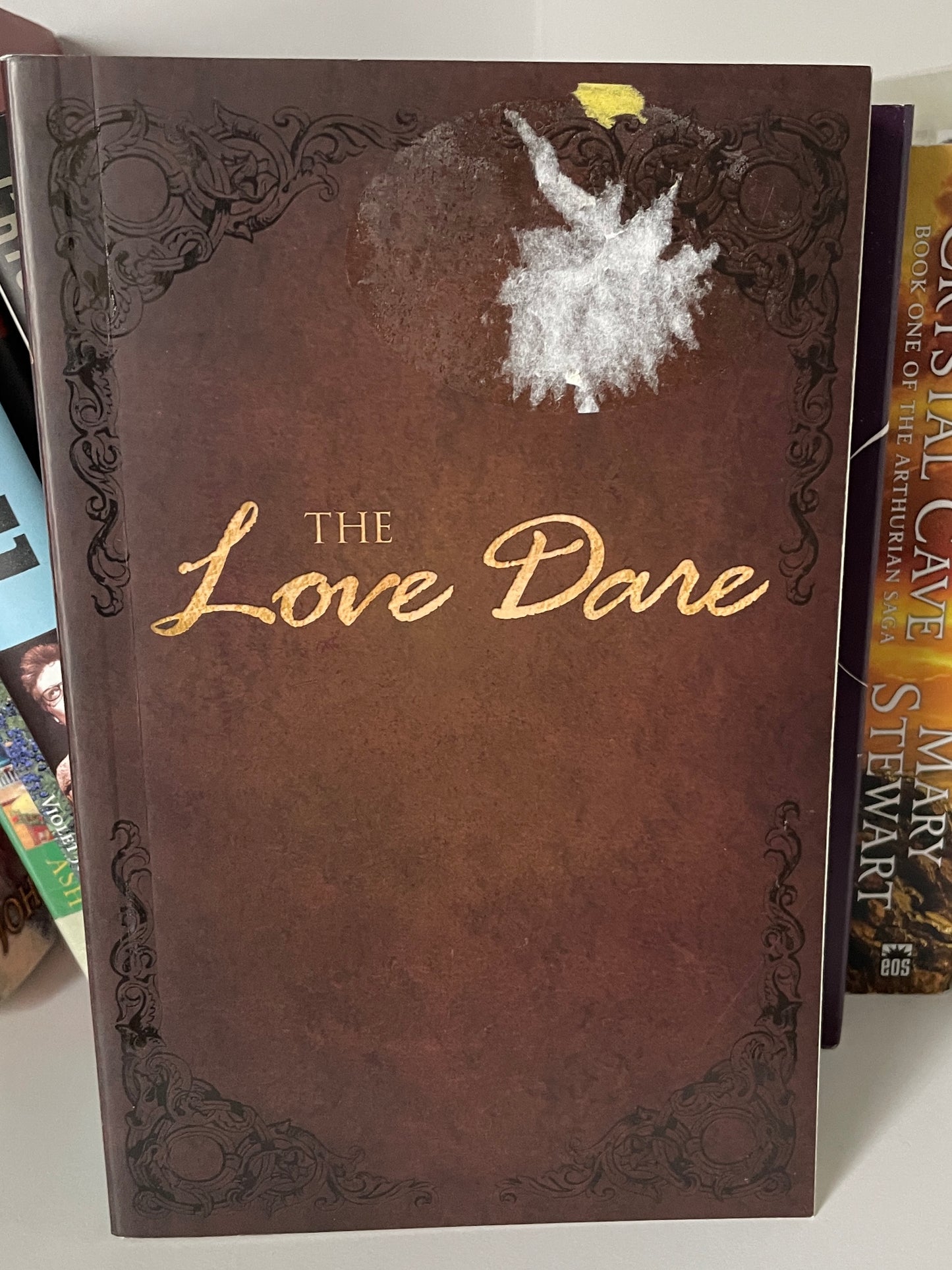The Love Dare