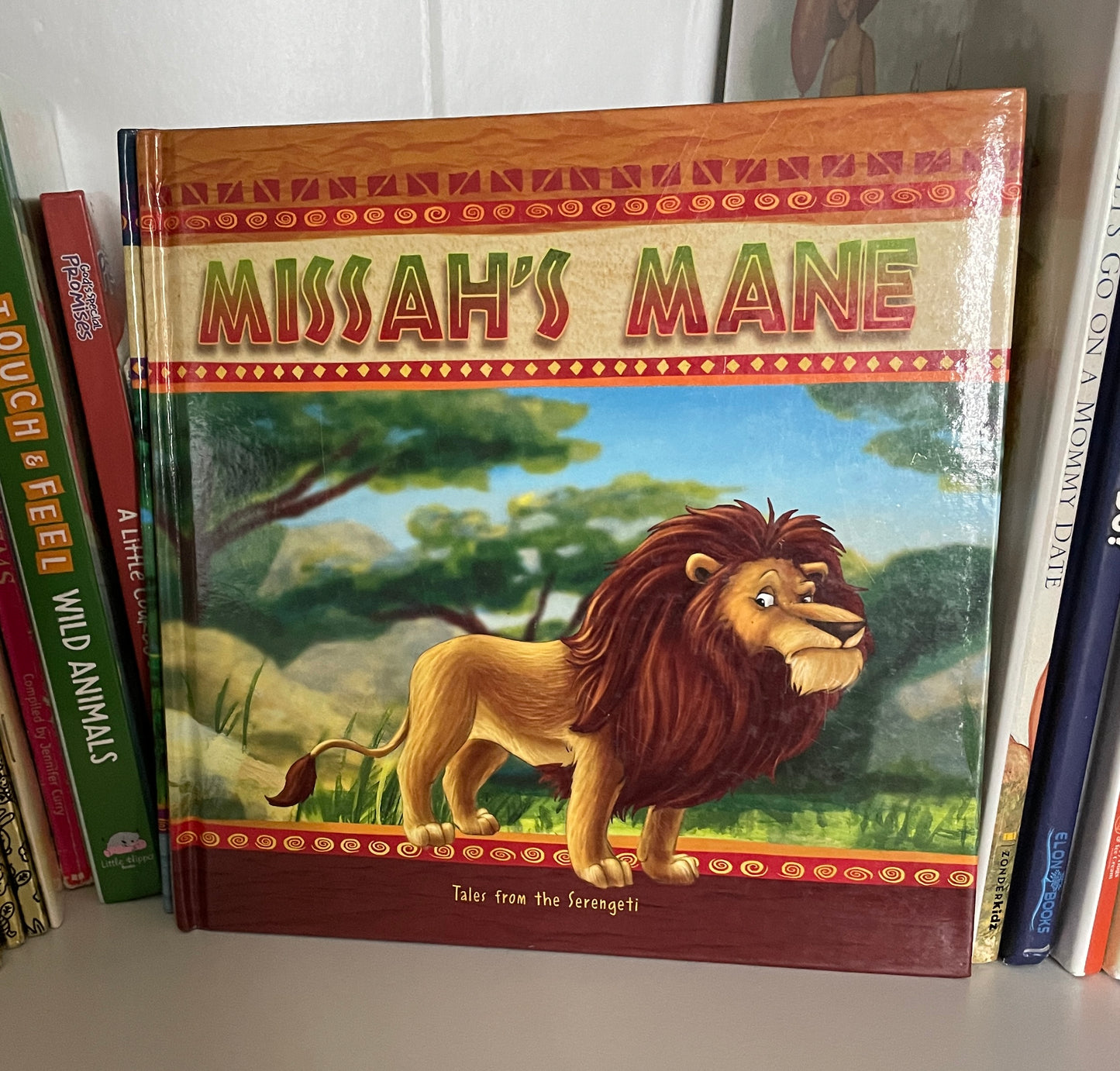Missah's Mane Bookcover