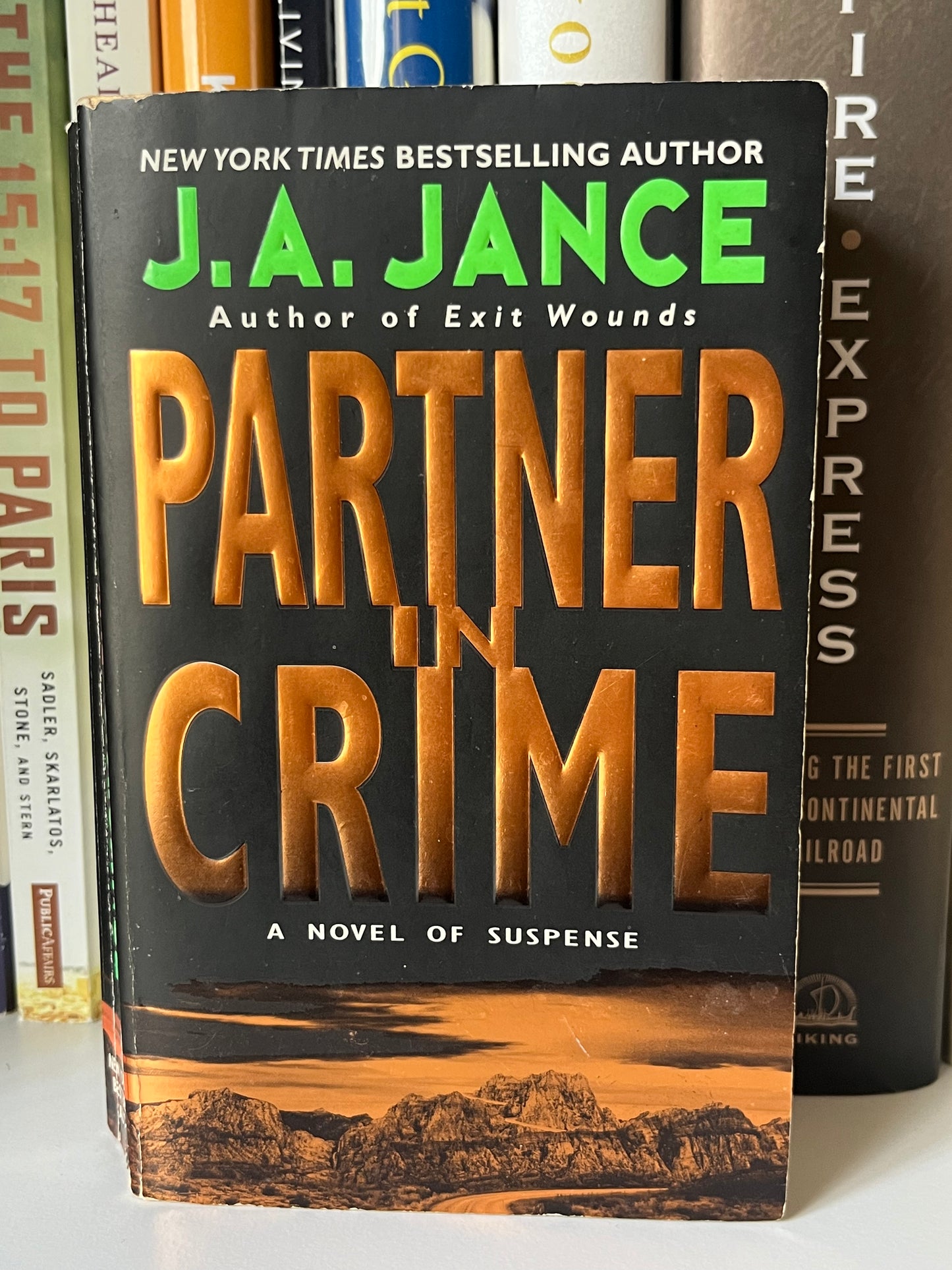 Partner in Crime (Joanna Brady Mysteries, Book 10)
