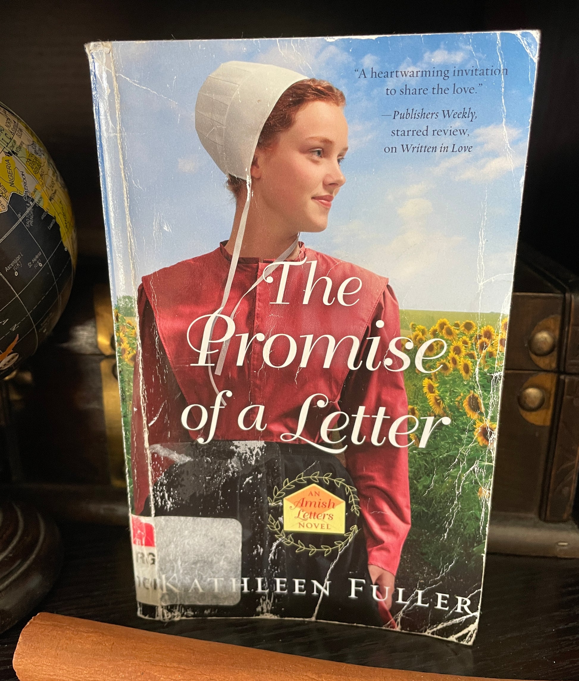 The Promise of a Letter (An Amish Letters Novel) - The Aged Page