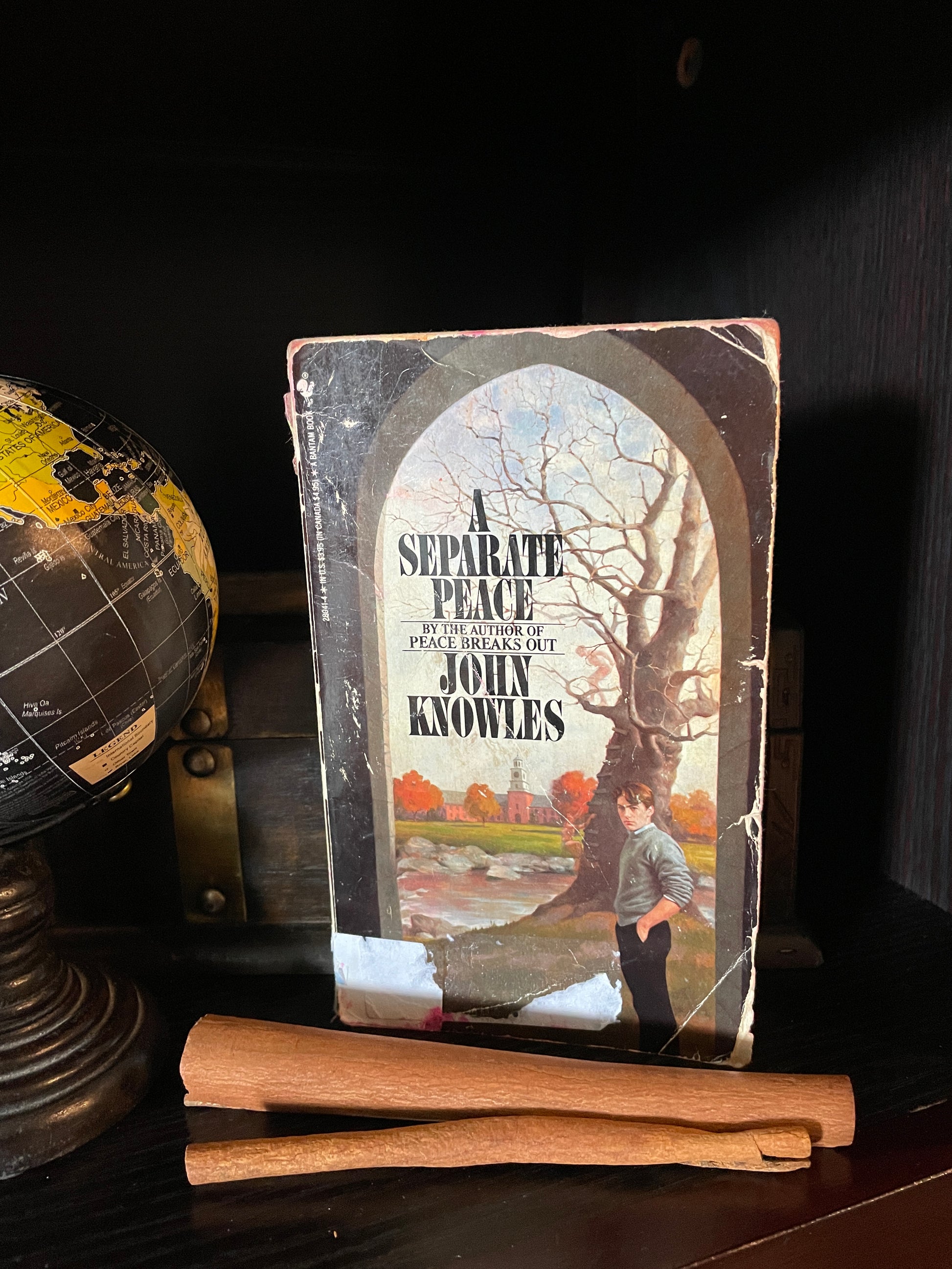 A Separate Peace - The Aged Page