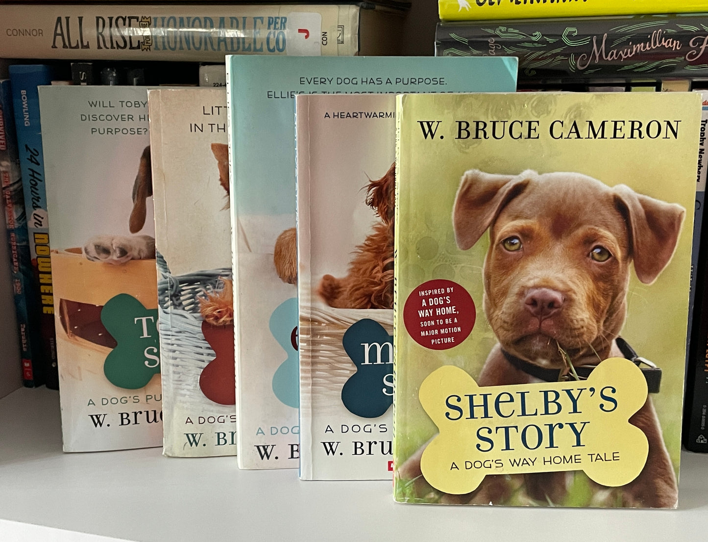 Shelby's Story: A Dog's Way Home Tale