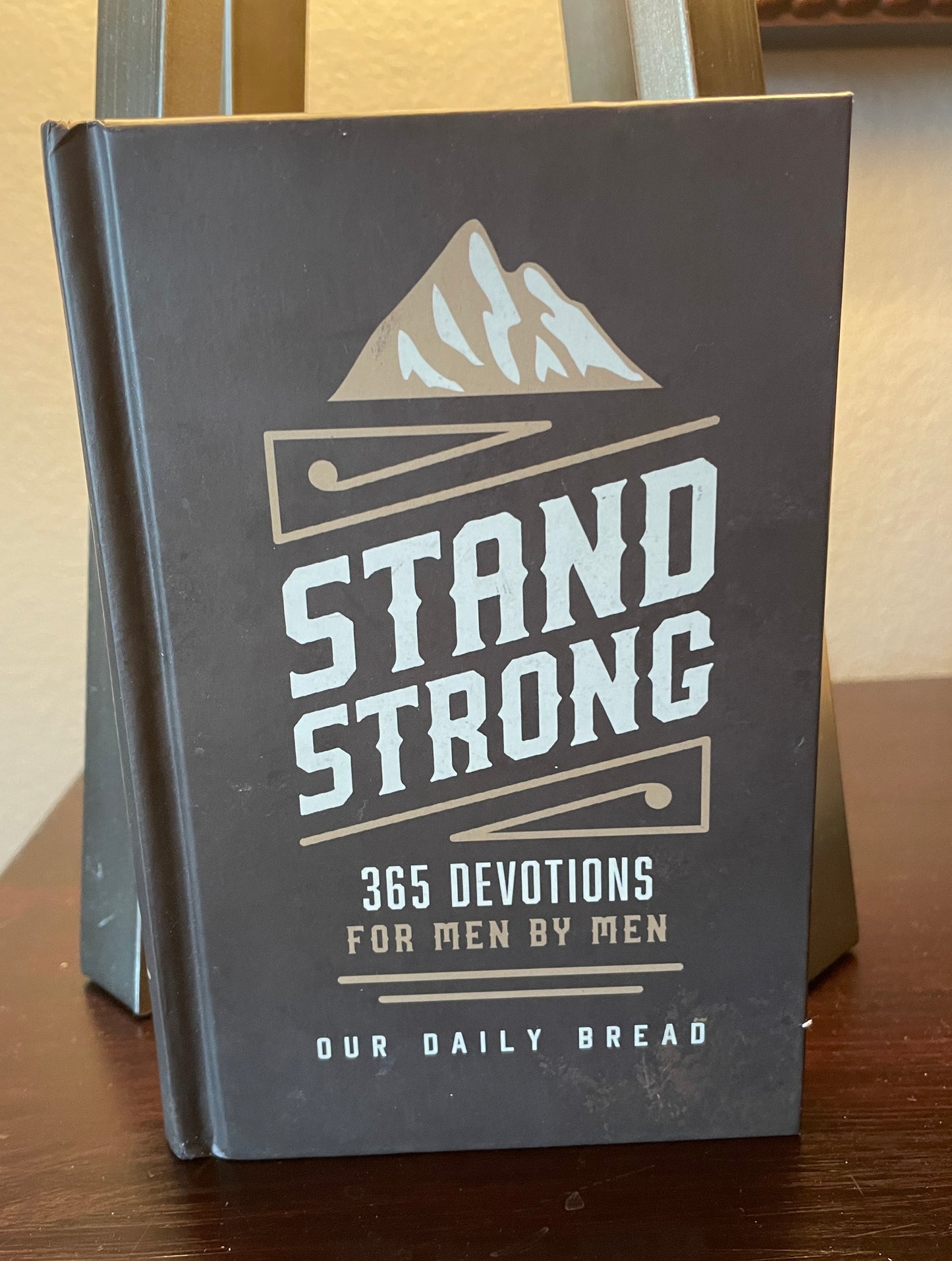 Stand Strong: 365 Devotions for Men by Men