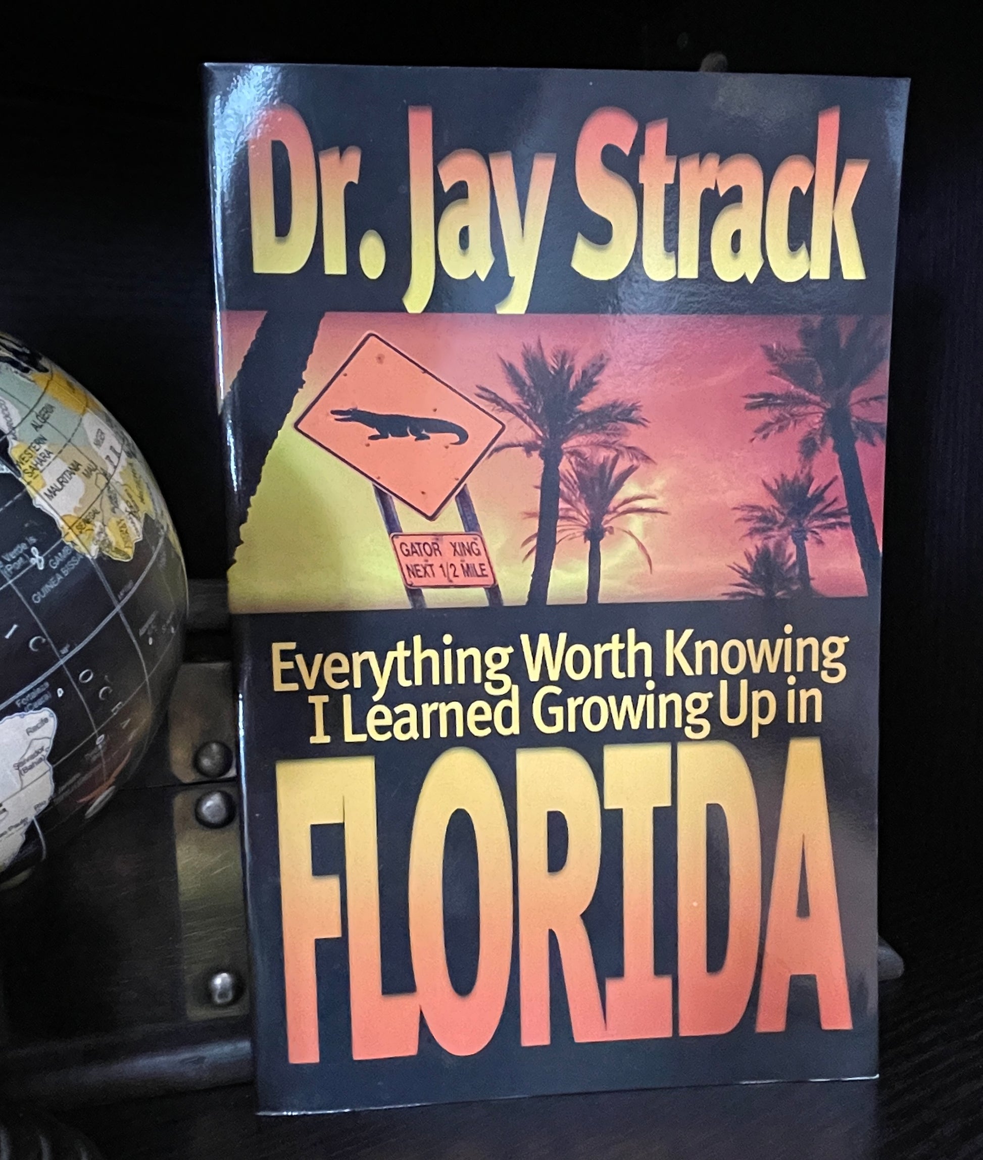 Everything Worth Knowing I Learned Growing Up in Florida - The Aged Page