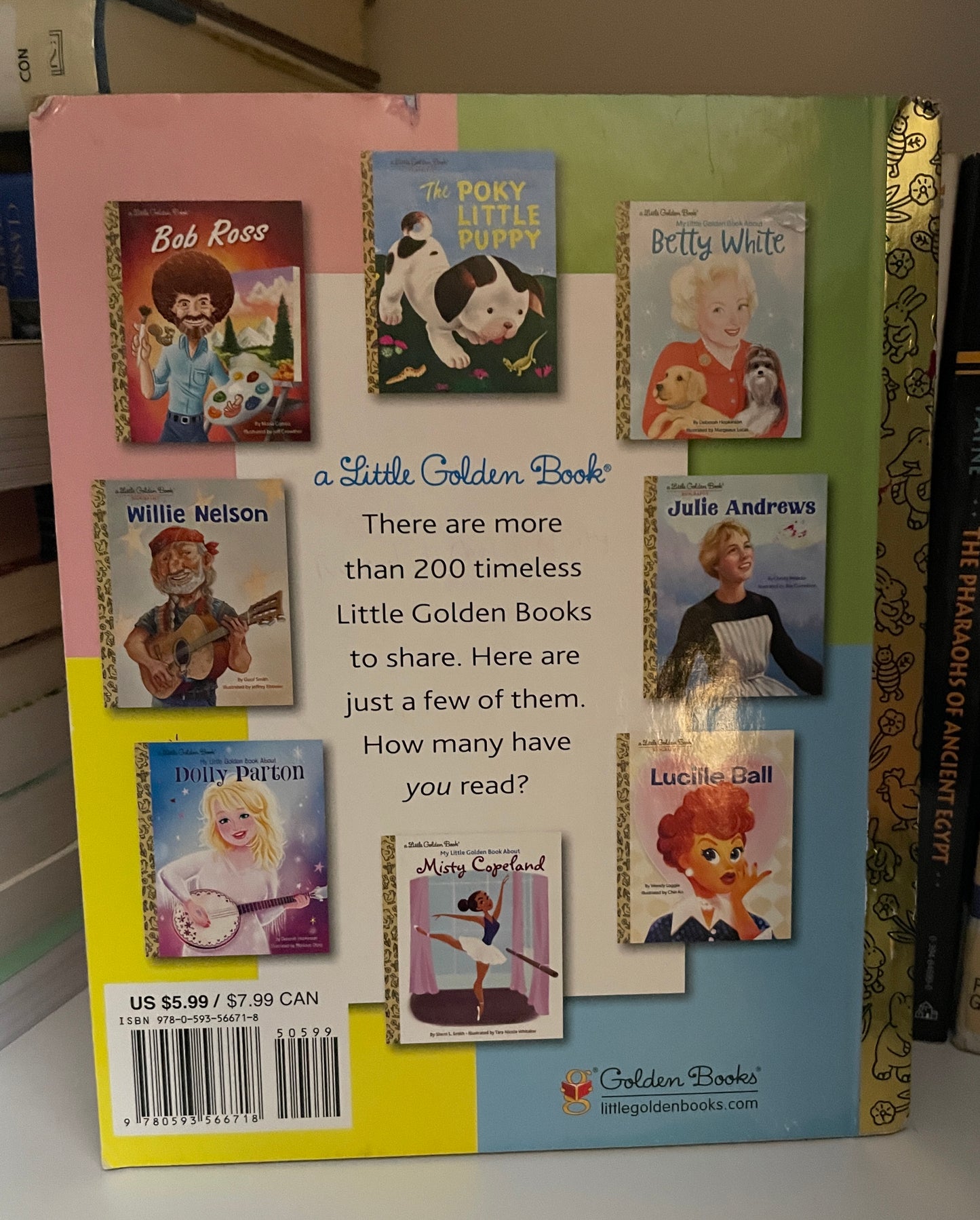 Taylor Swift: A Little Golden Book Biography