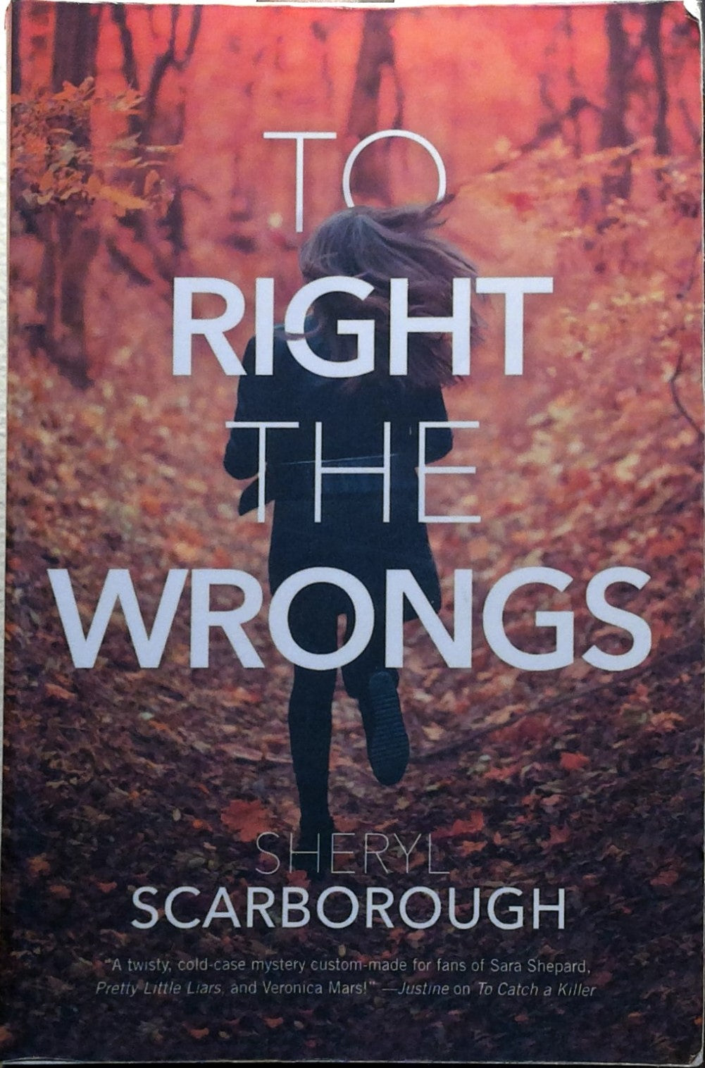 To Right the Wrongs (Erin Blake, 2)