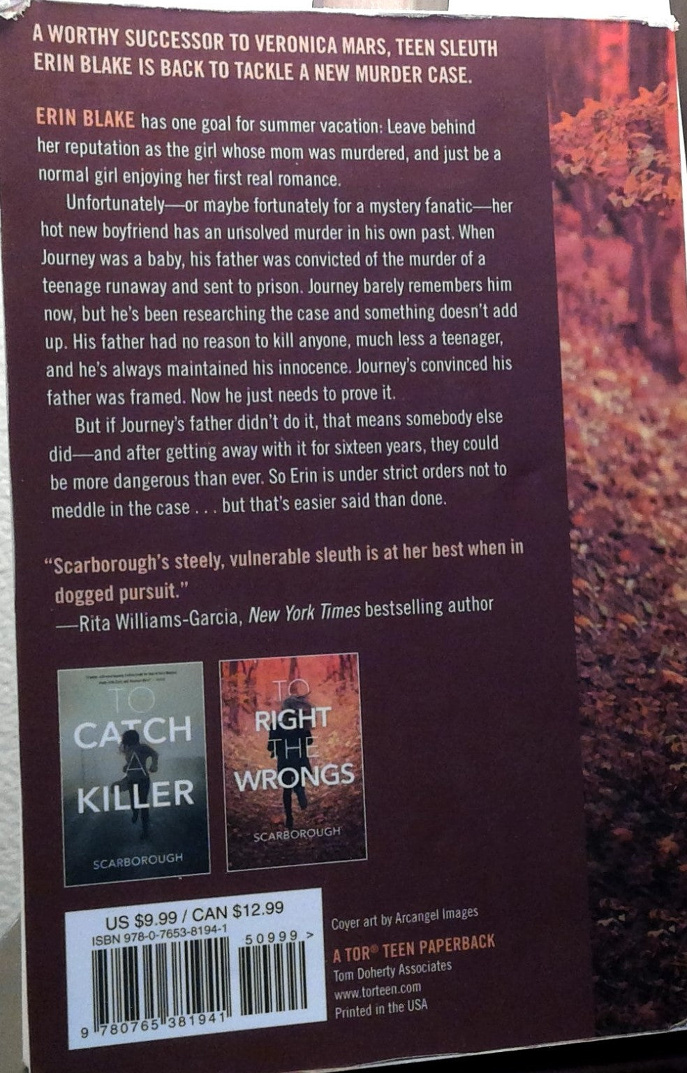 To Right the Wrongs (Erin Blake, 2)