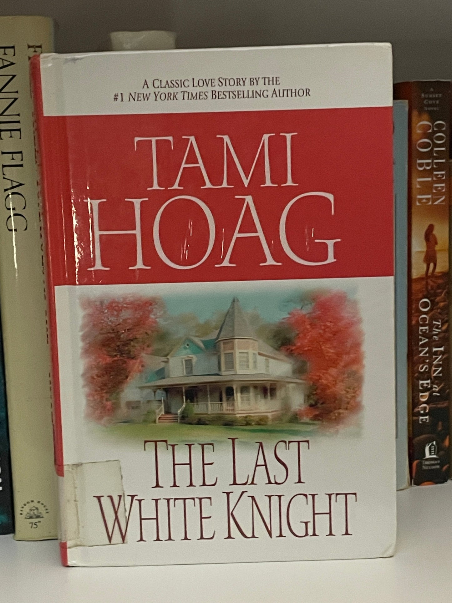 The Last White Knight book cover