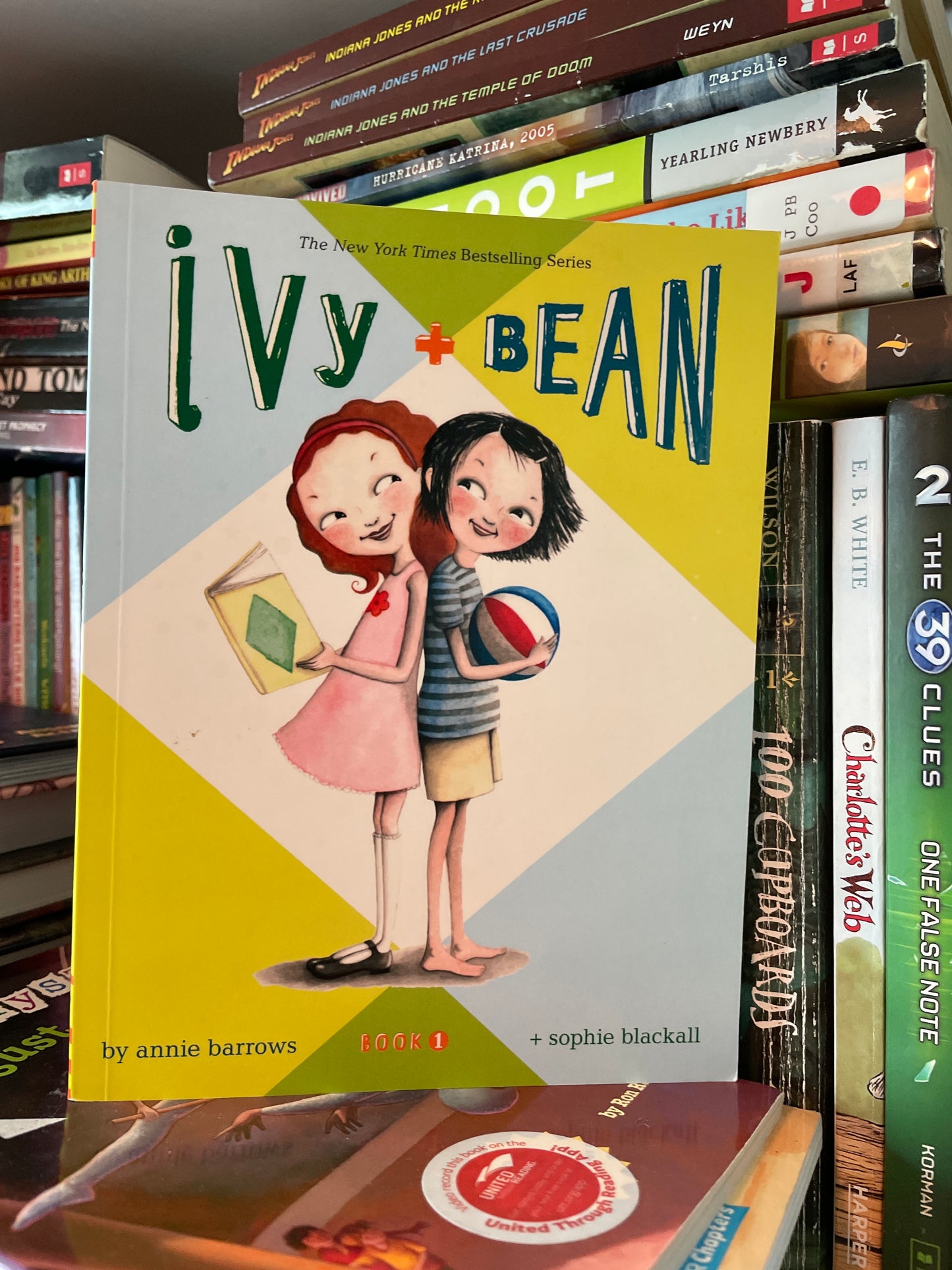 Ivy & Bean (Book 1)