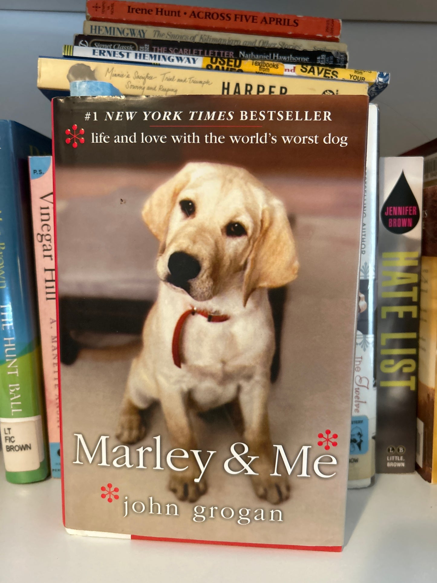 Marley & Me: Life and Love with the World's Worst Dog