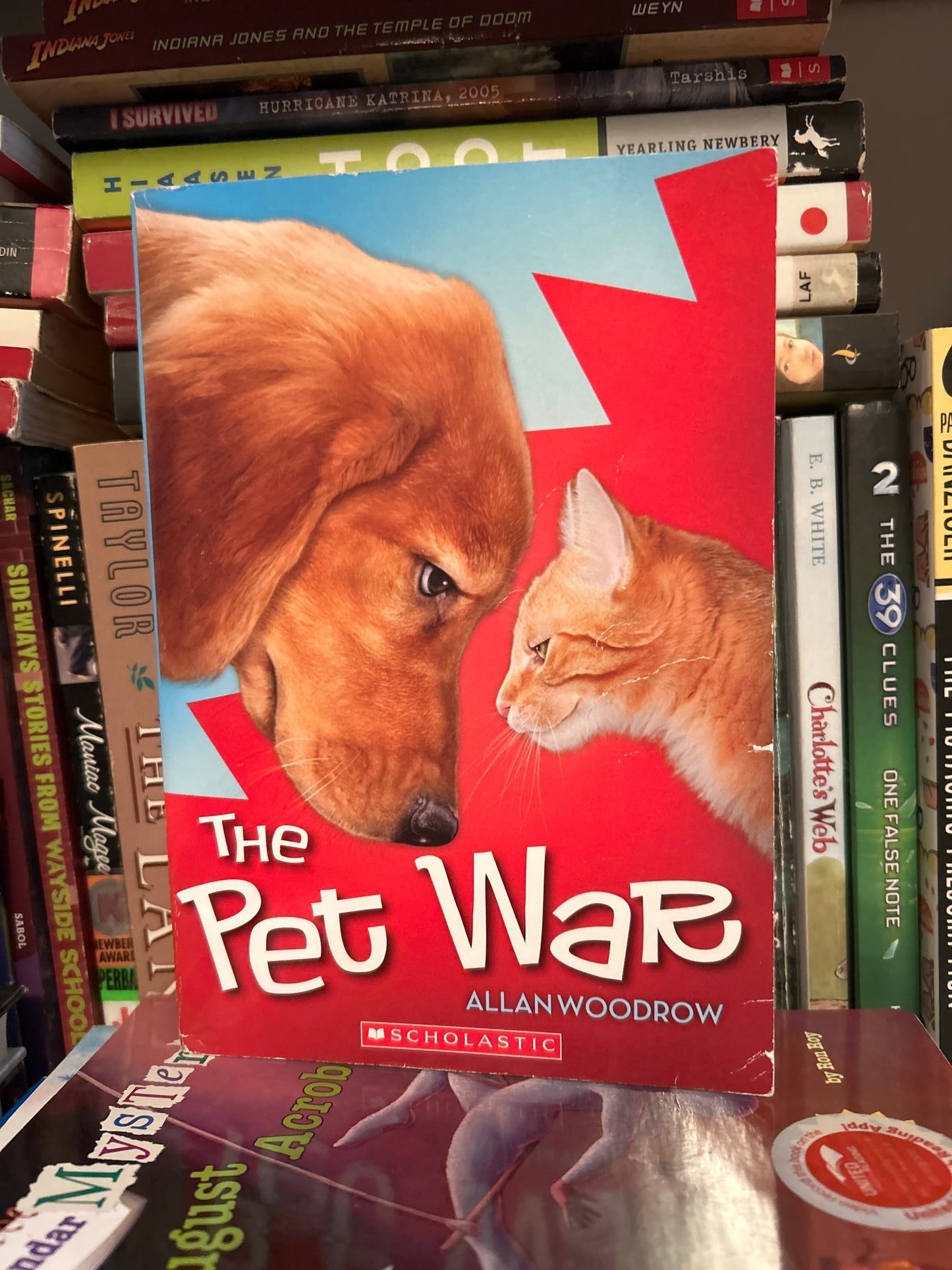 The Pet War