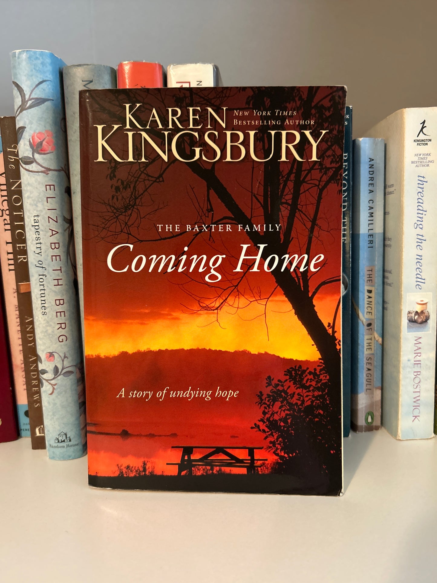 Coming Home: A Story of Undying Hope (The Baxter Family)