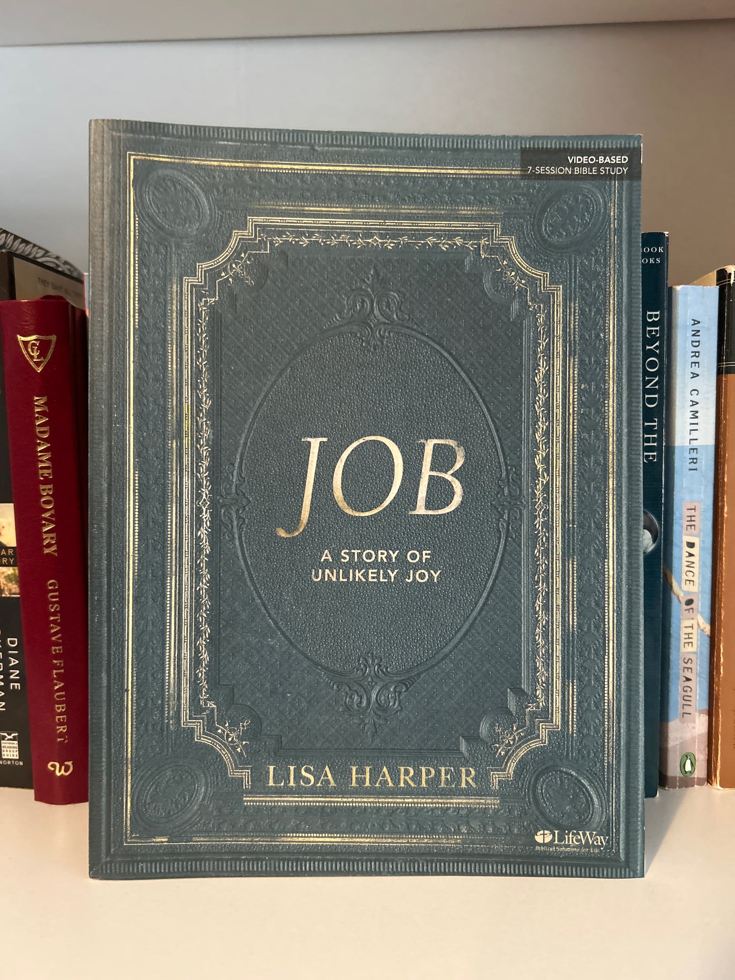 Job - Bible Study Book: A Story of Unlikely Joy - Bible Study Book