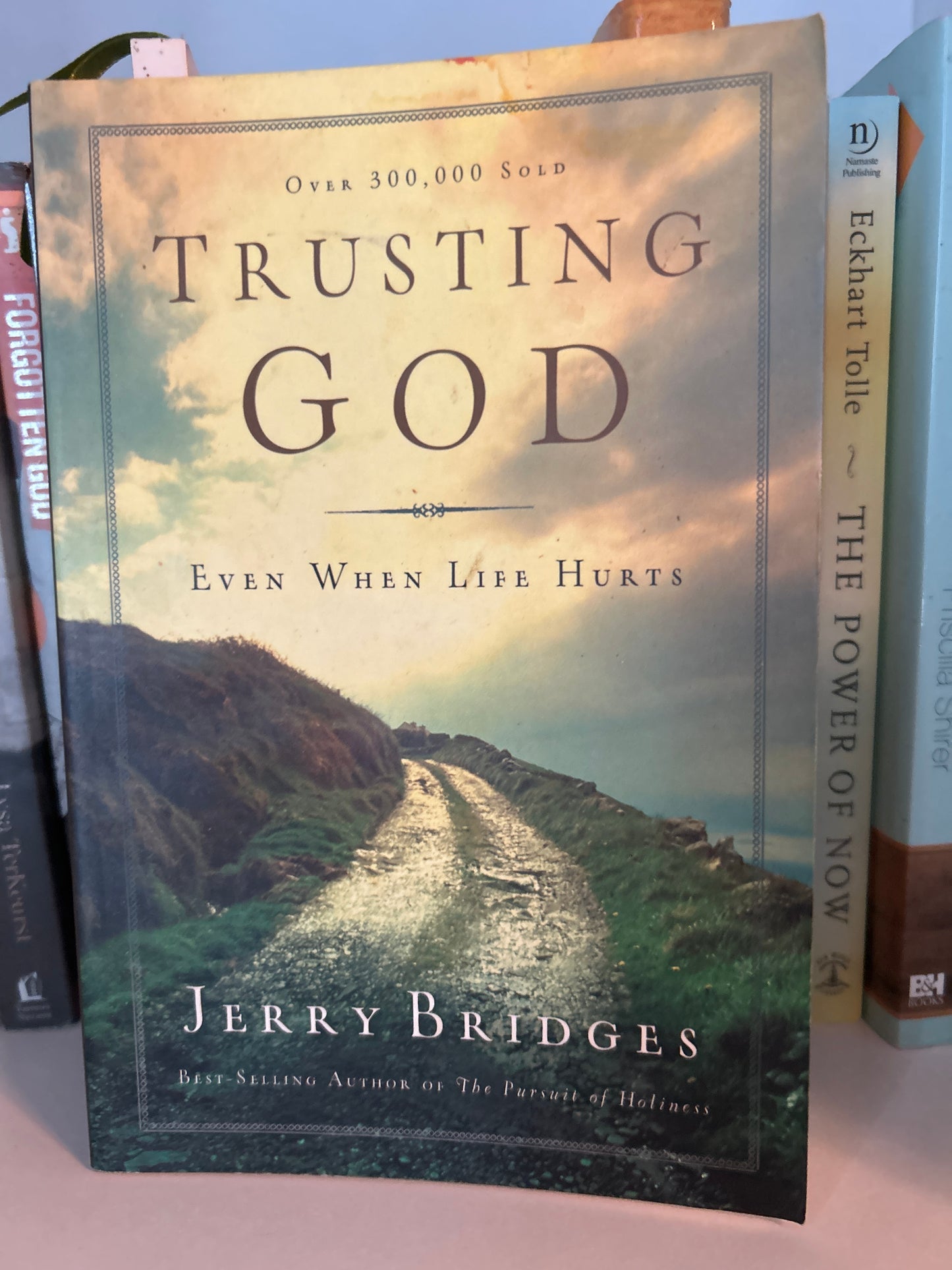 Trusting God: Even When Life Hurts