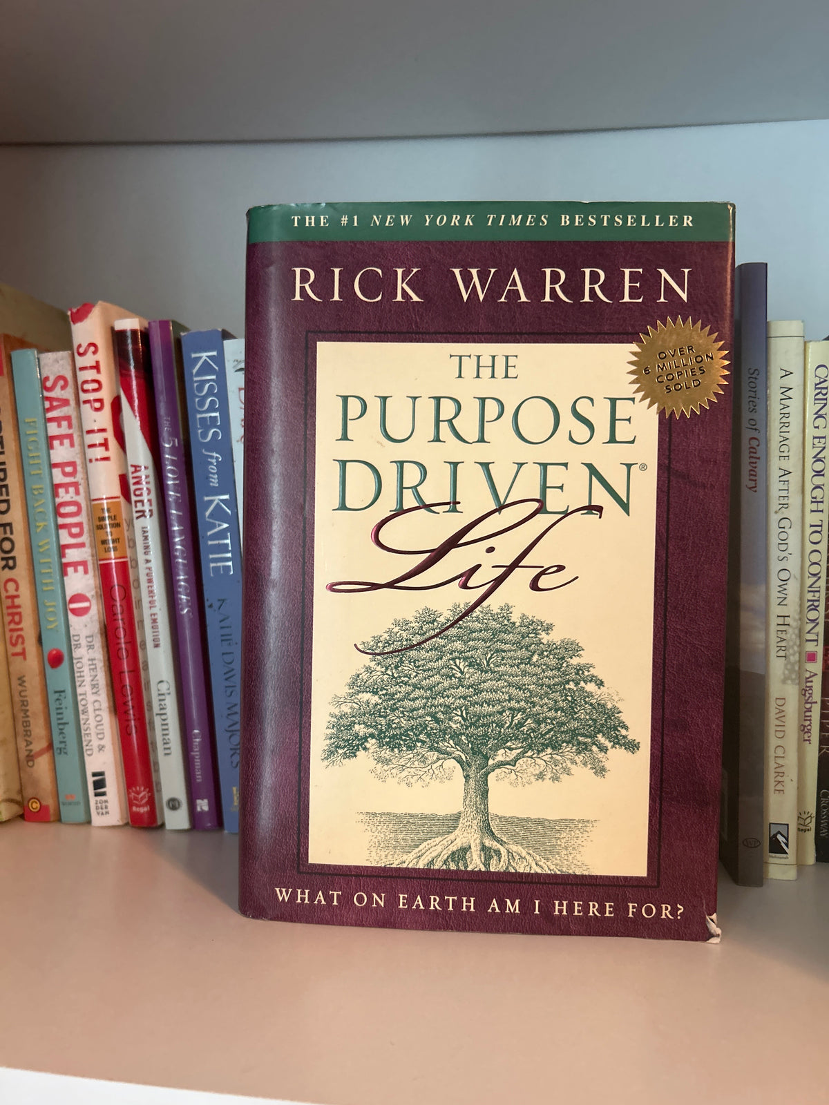The Purpose Driven Life
