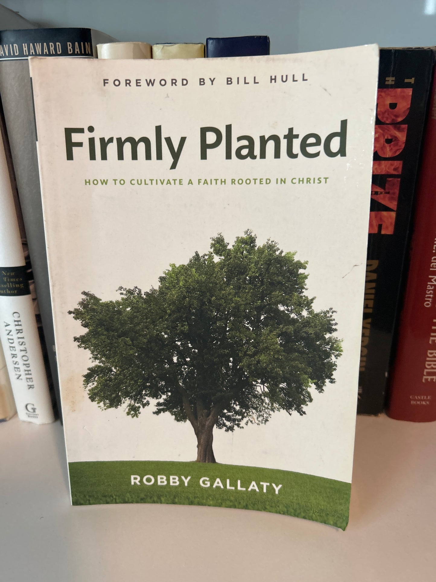 Firmly Planted: How to Cultivate a Faith Rooted in Christ