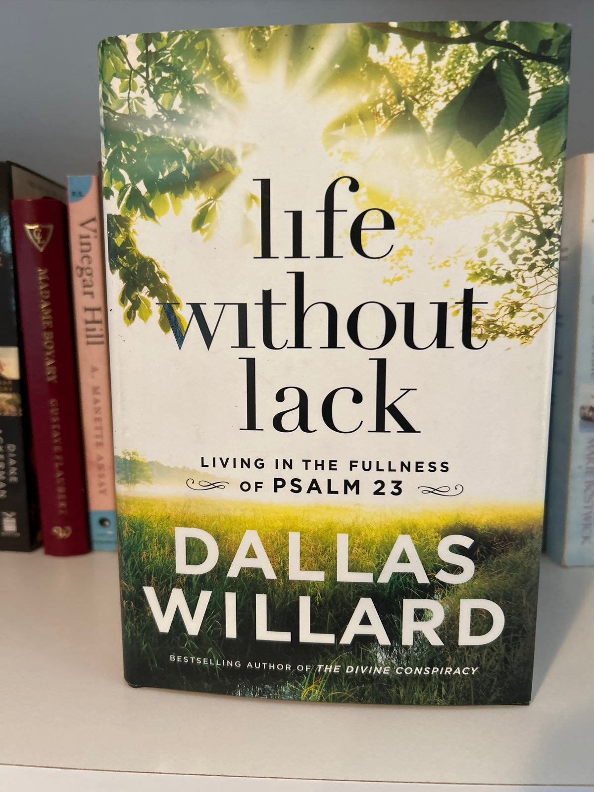 Life Without Lack: Living in the Fullness of Psalm 23