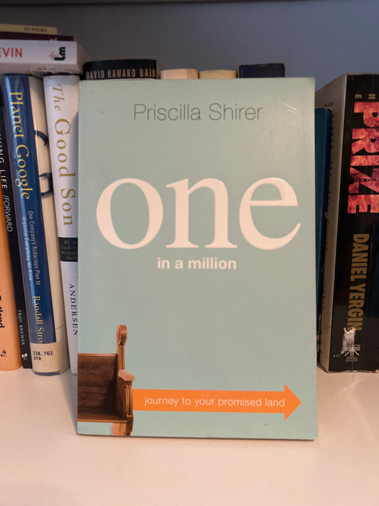 One in a Million: Journey to Your Promised Land