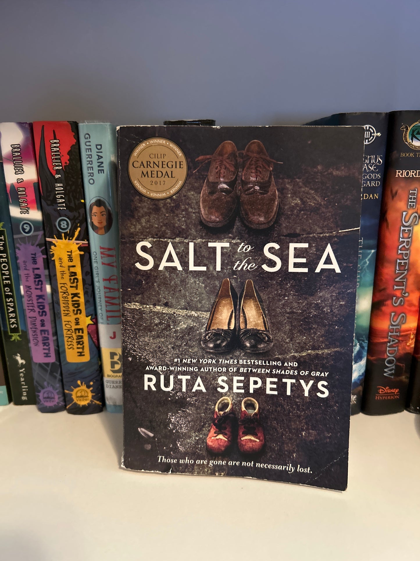 Salt to the Sea
