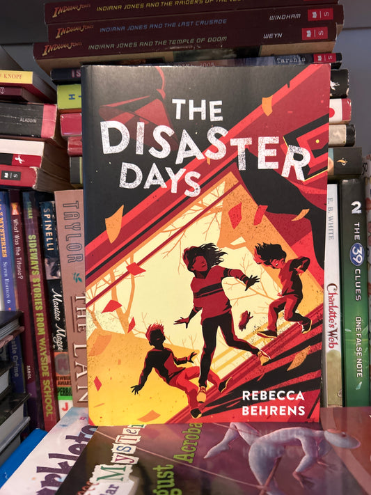 The Disaster Days