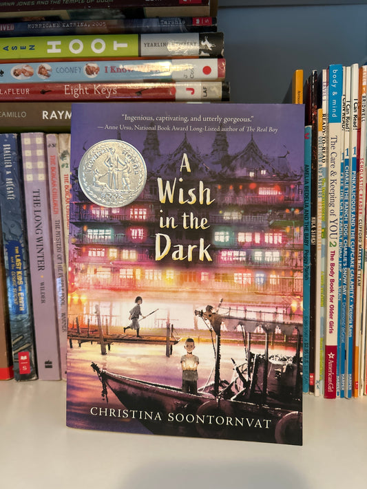 A Wish in the Dark