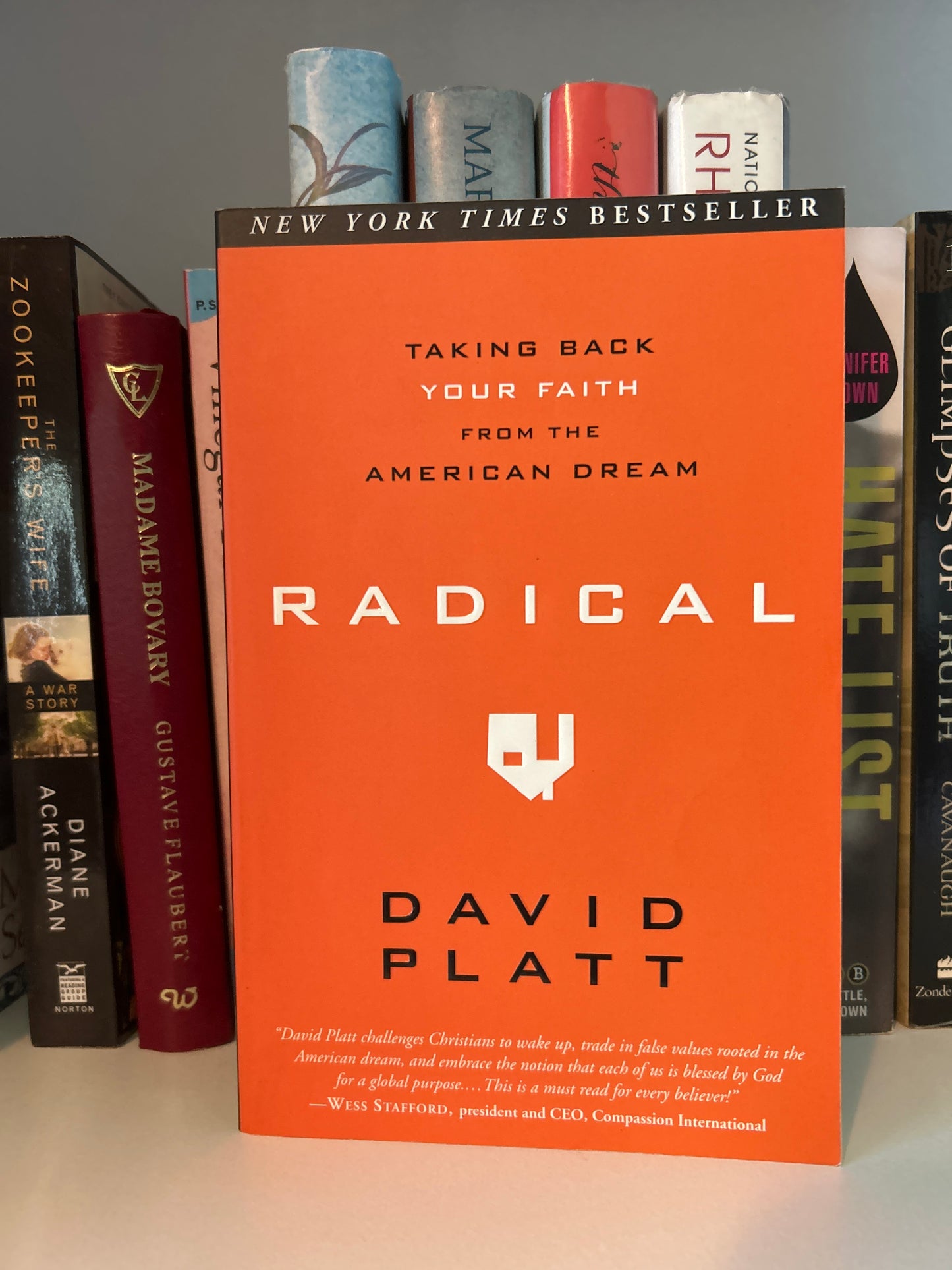 Radical: Taking Back Your Faith from the American Dream (Copy 2)