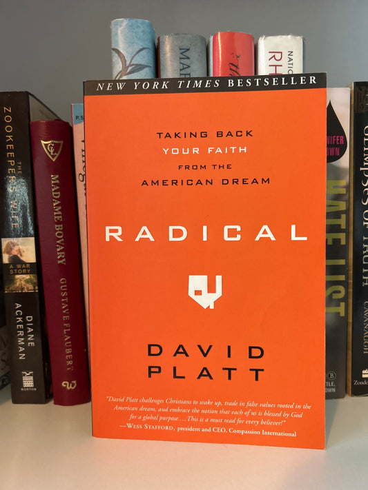 Radical: Taking Back Your Faith from the American Dream (Copy 2)