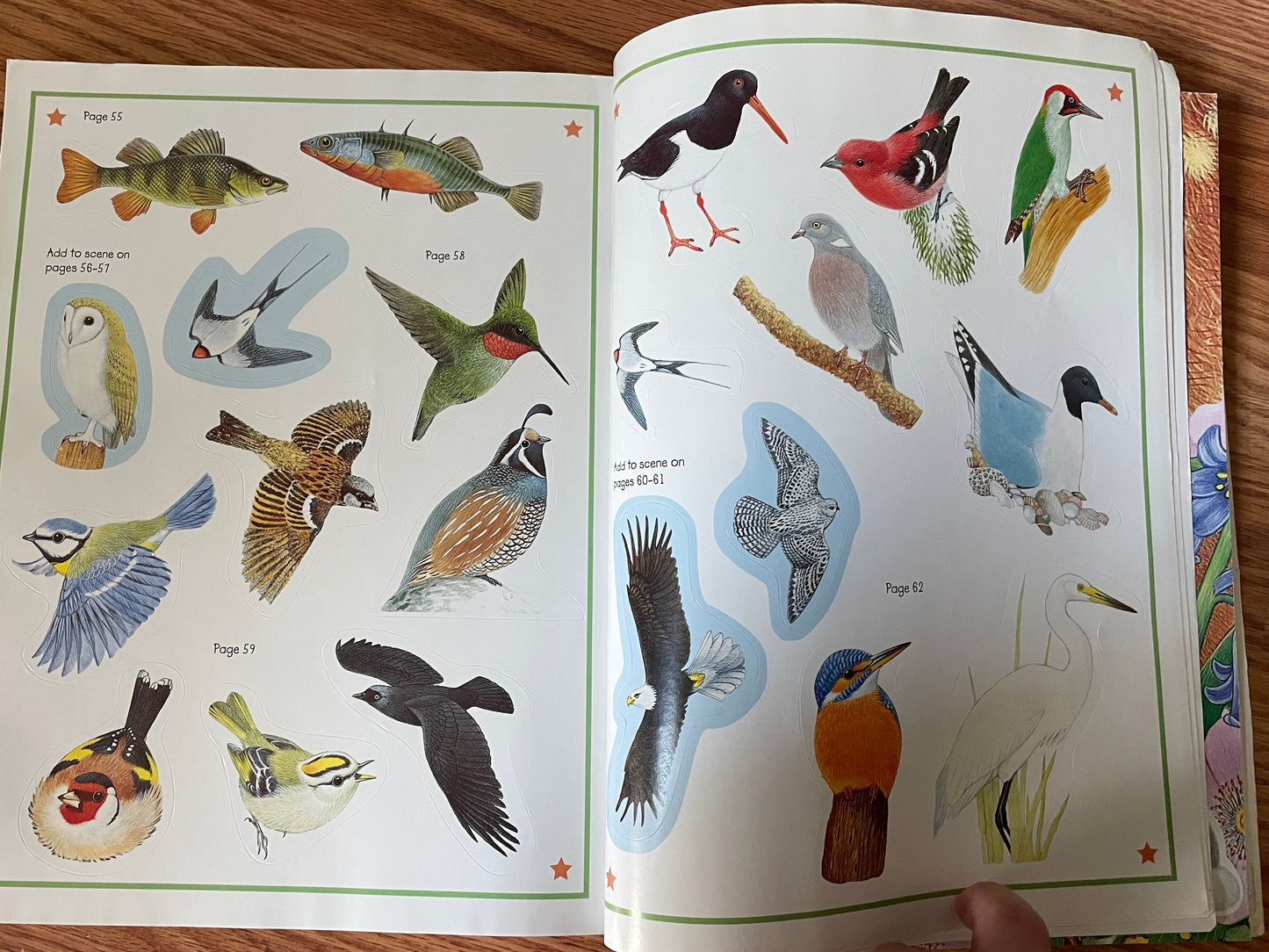 Animal Kingdom Sticker Activity Book: Into the Wild