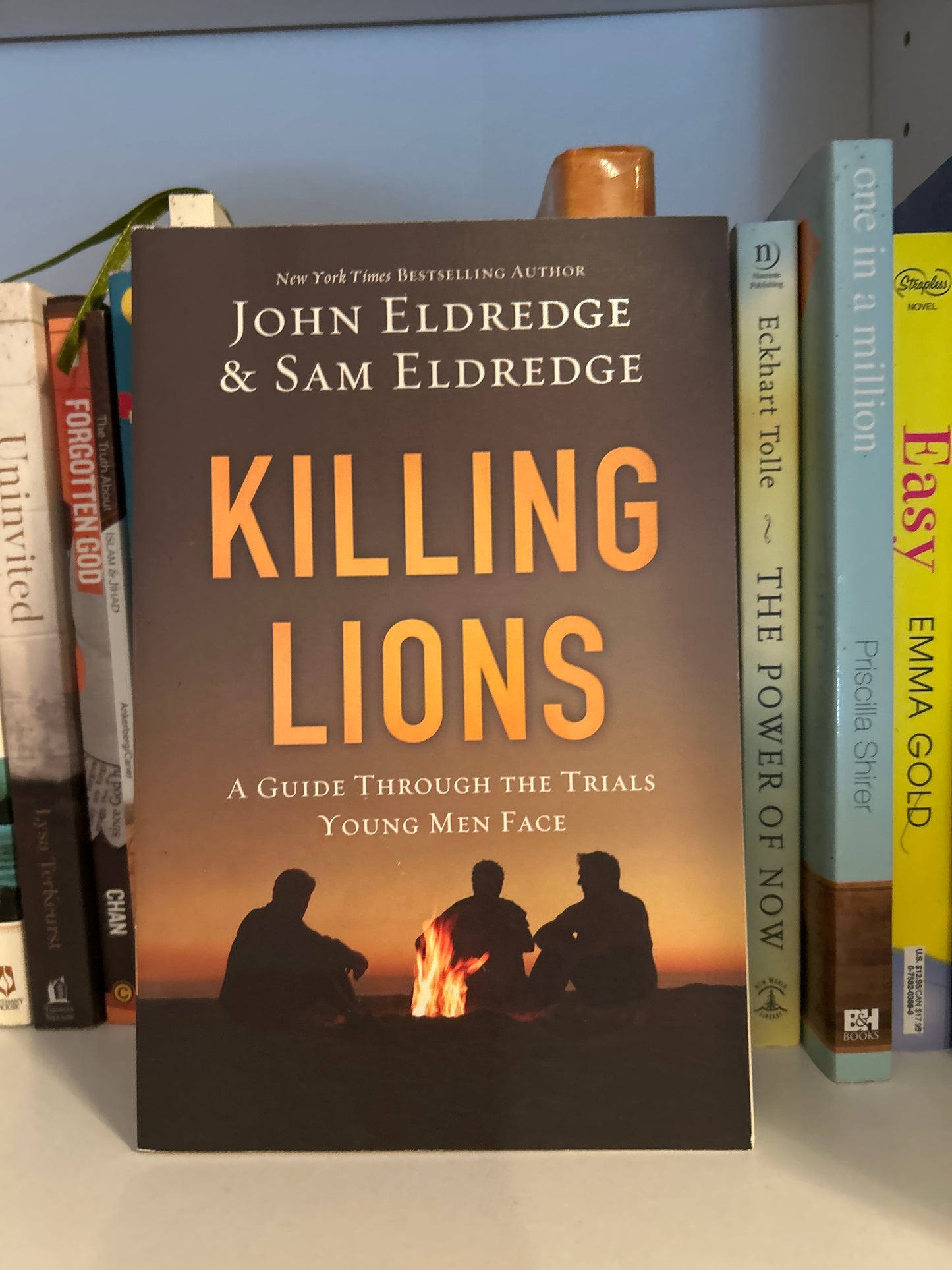 Killing Lions: A Guide Through the Trials Young Men Face