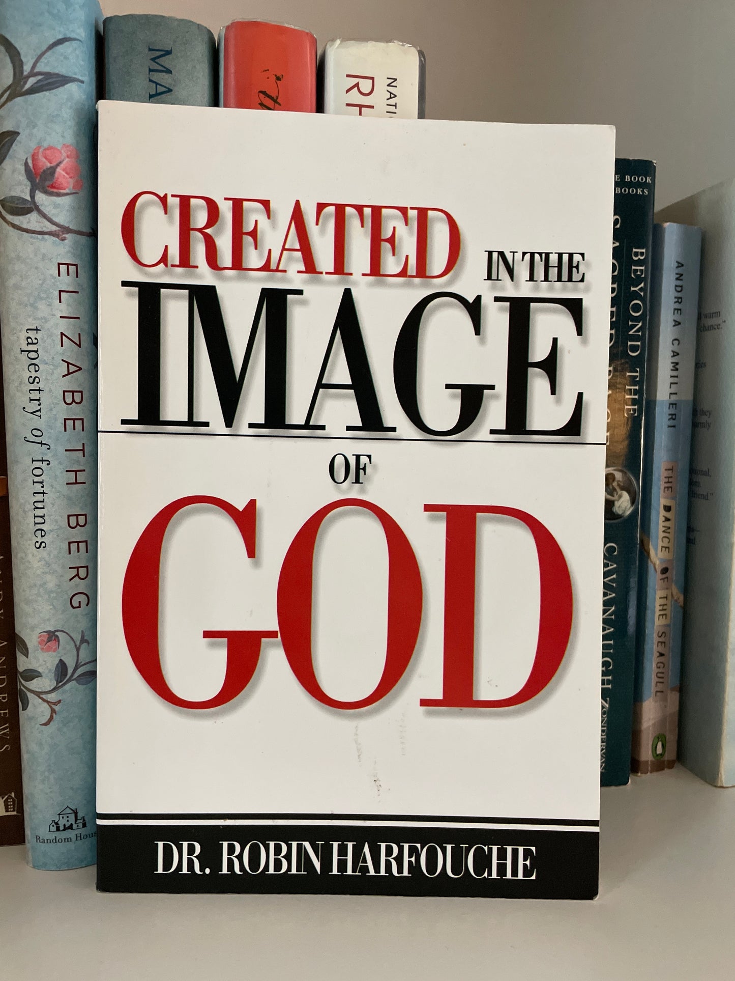 Created in the Image of God