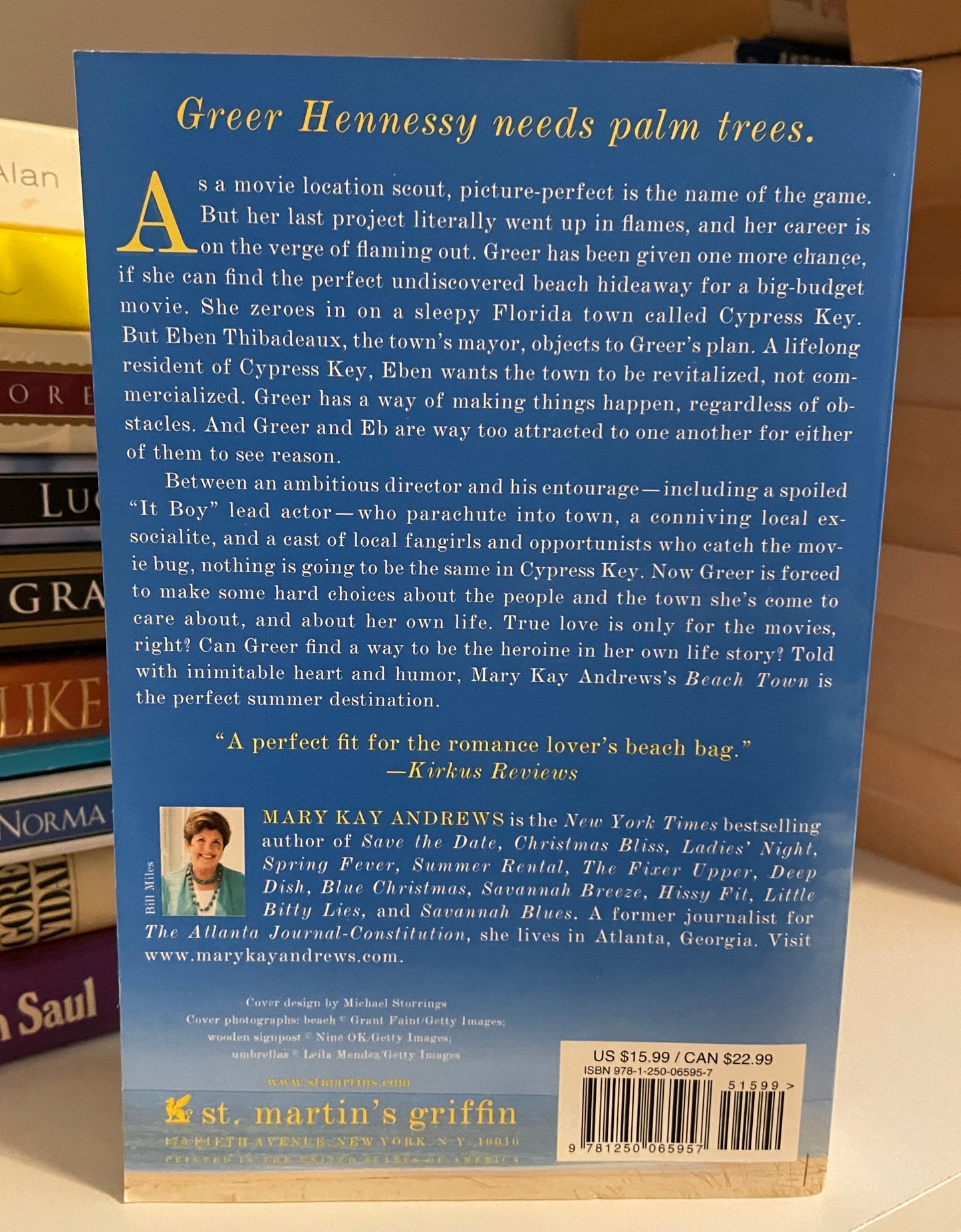 Beach Town: A Novel